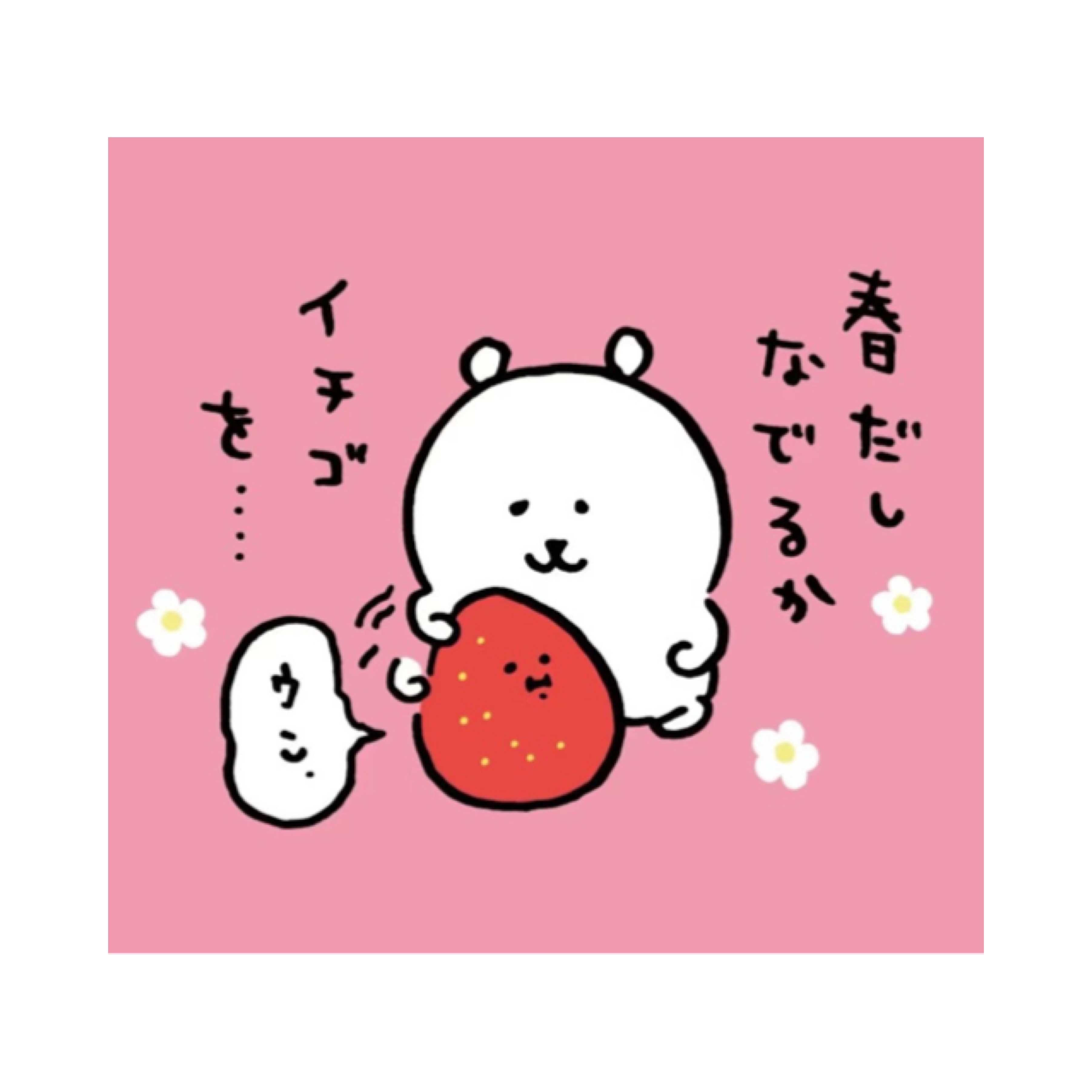 自嘲熊 貼紙｜現貨