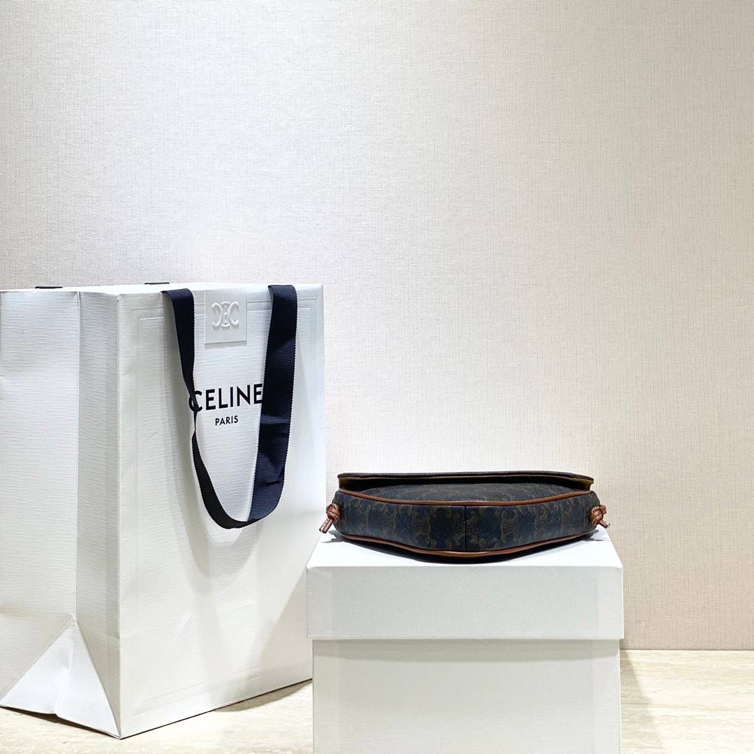 🔥大货实拍图 𝗖𝗘𝗟𝗜𝗡𝗘 ♥ 𝗧𝗥𝗜𝗢𝗠𝗣𝗛𝗘 𝗖𝗔𝗡𝗩𝗔𝗦 三角形手袋 𝑪𝒆𝒍𝒊𝒏𝒆2021春夏竟出其不意的玩起了异形包，三角形造型很是别致，彰显不羁姿态，男女同款，吸晴选手✔ 型号：195902 尺寸：21*15*4cm