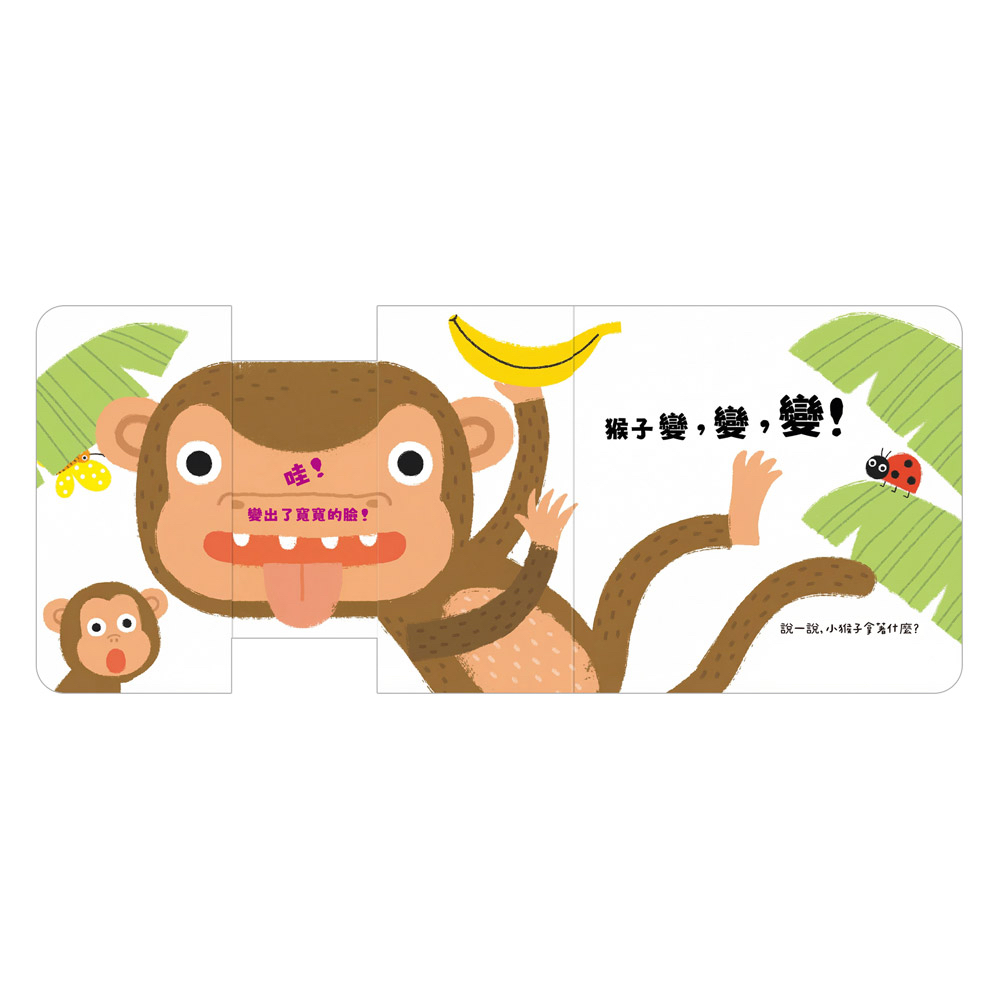 🔸預購貨品🔸玩得停不下來的抽拉書-看我變變變