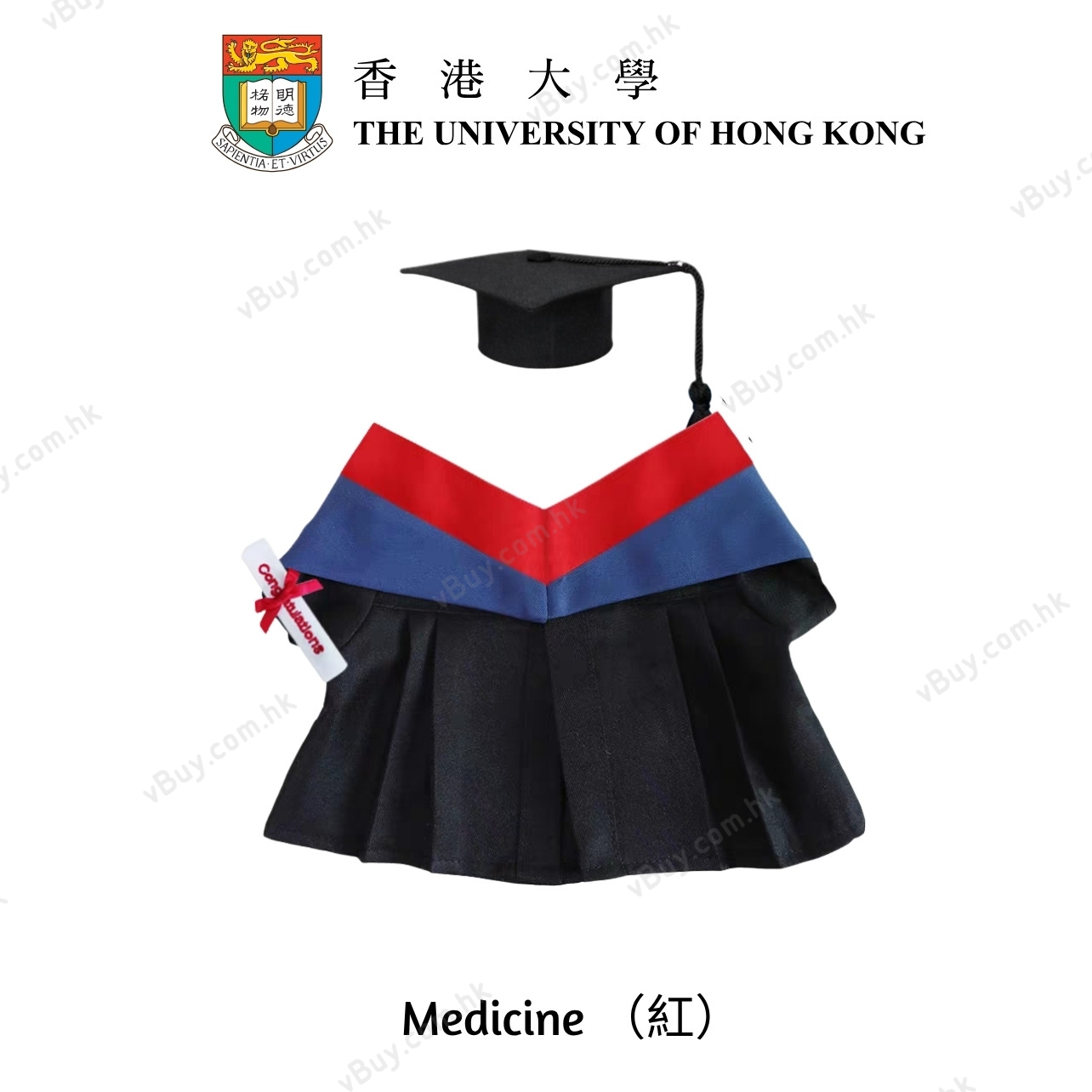 vBuy 訂製香港大學公仔畢業袍  HKU公仔畢業袍 港大公仔畢業袍可綉字綉名獨一無二 （不連公仔）
