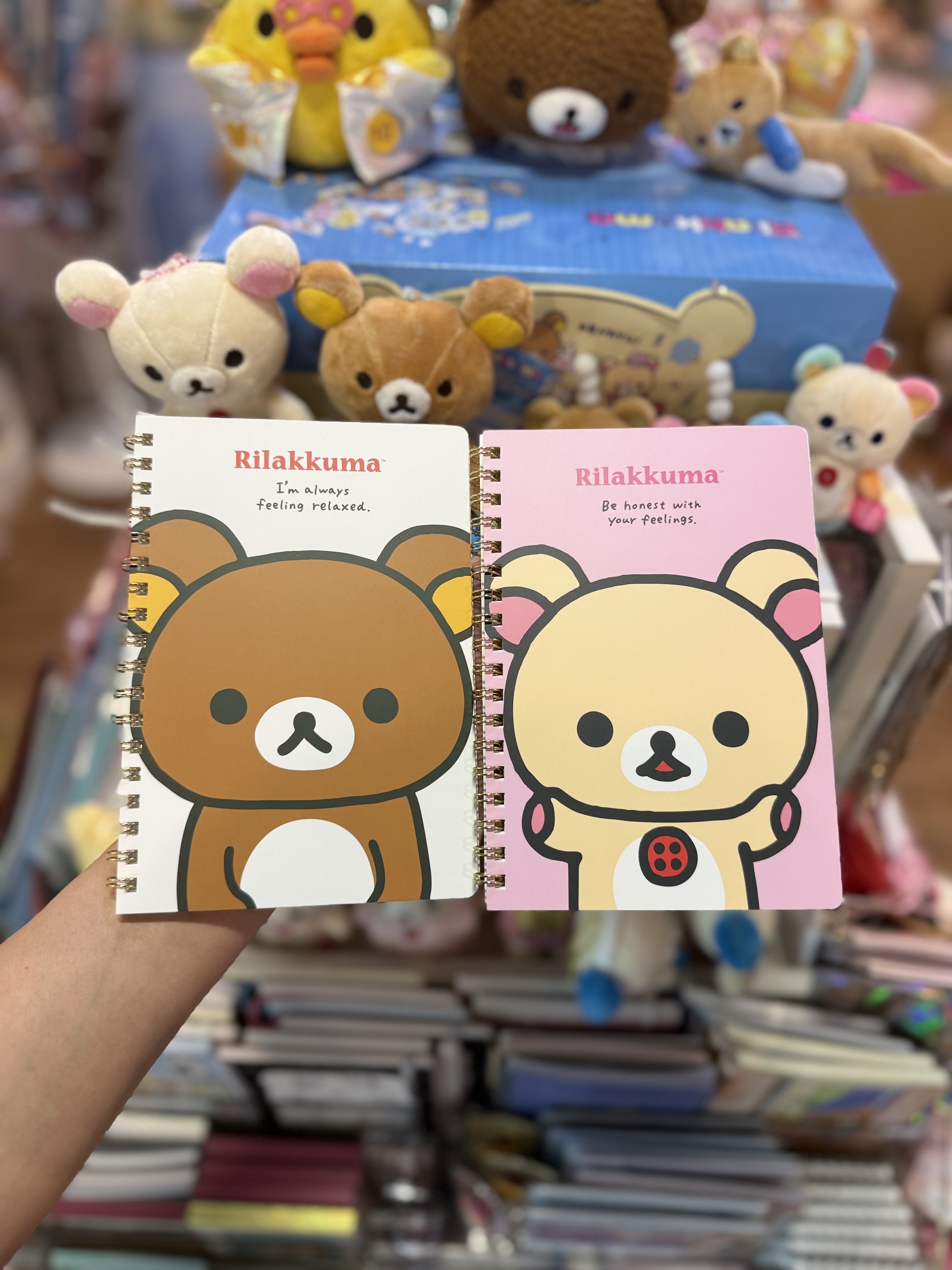 《現貨》全新rilakkuma 元組系列圈簿