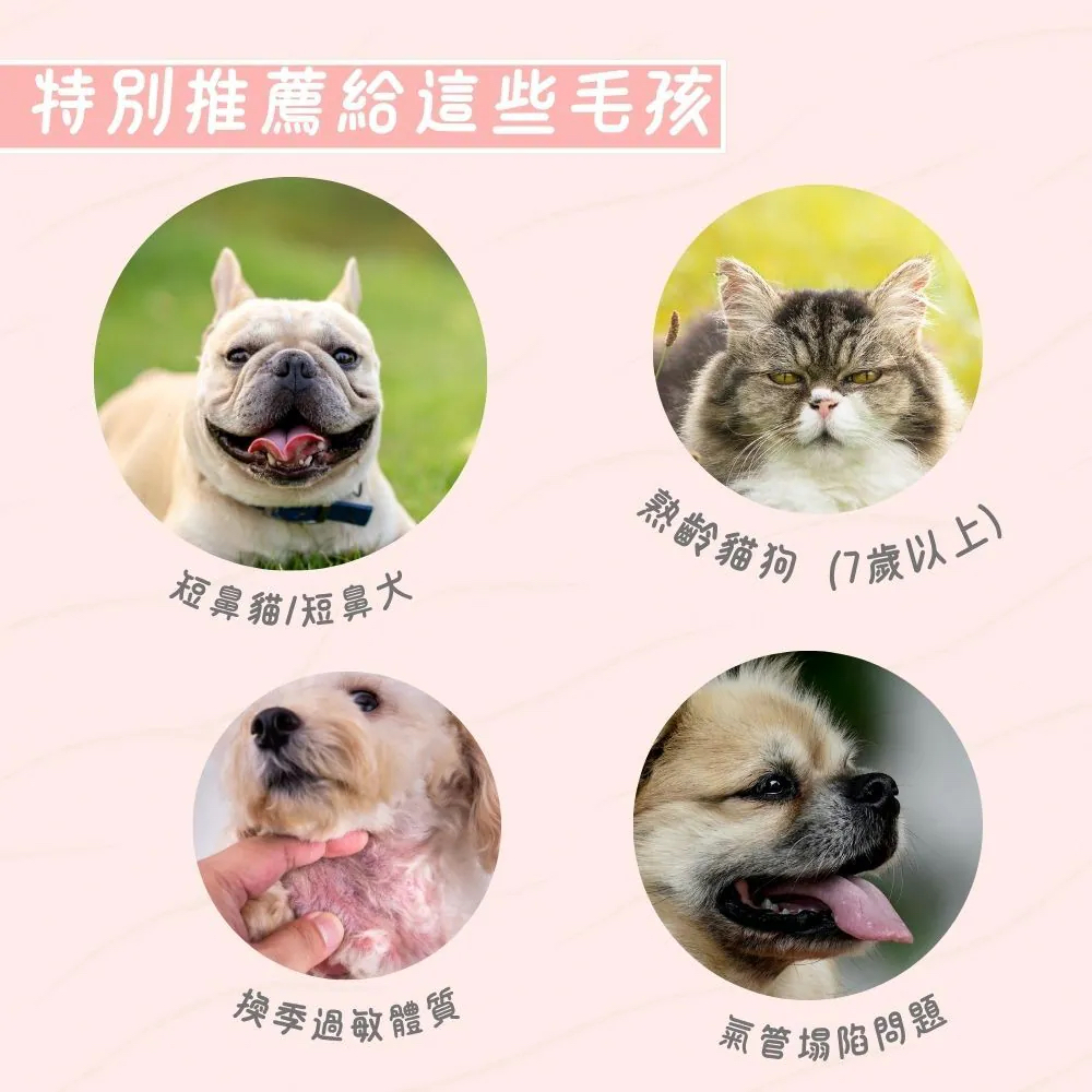 【台灣寵愛毛毛・惜命命呼吸道保健】