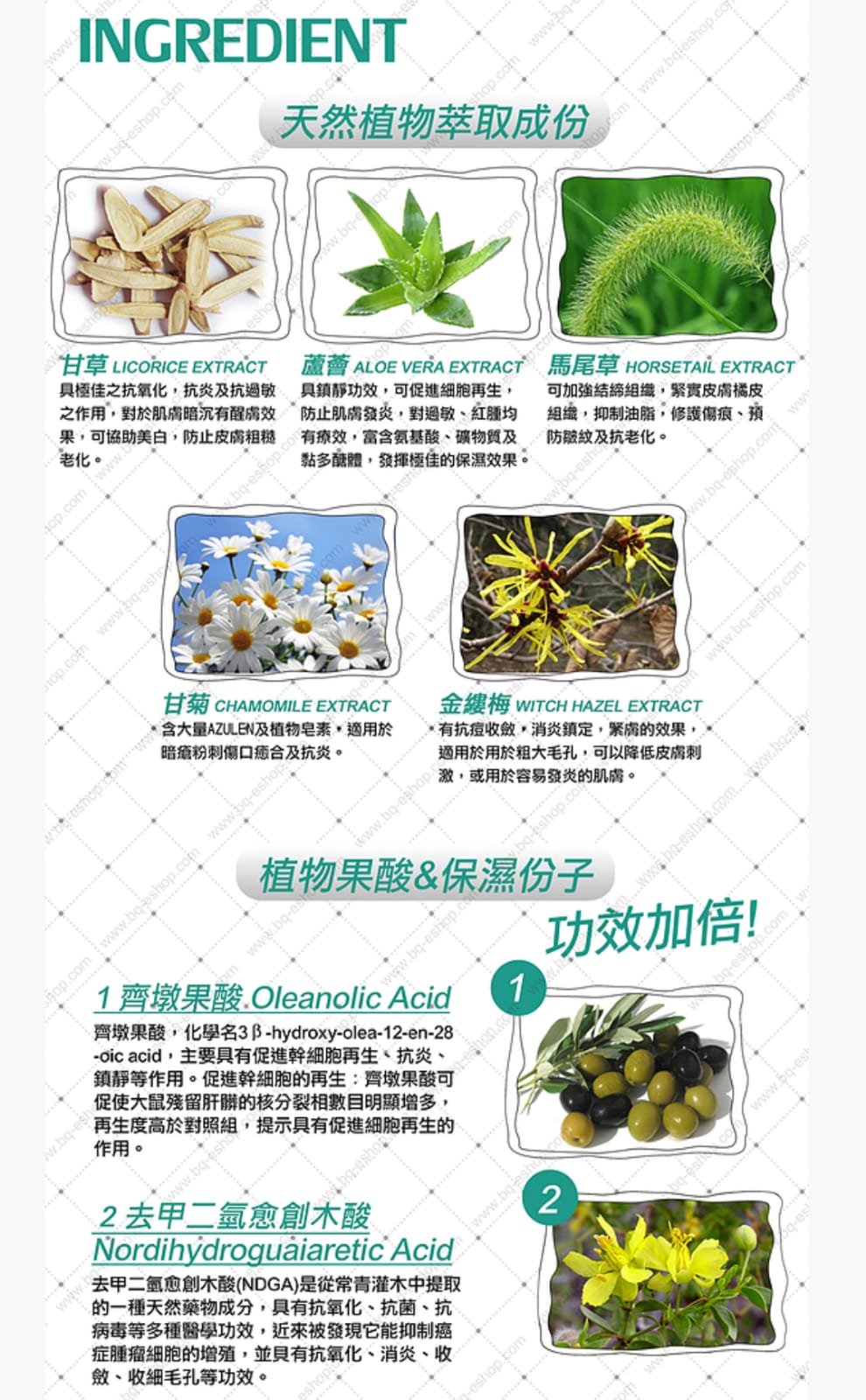 BeautyQuest BQ淨化粉刺精華50ml 新裝 Renovating Serum 平行進口