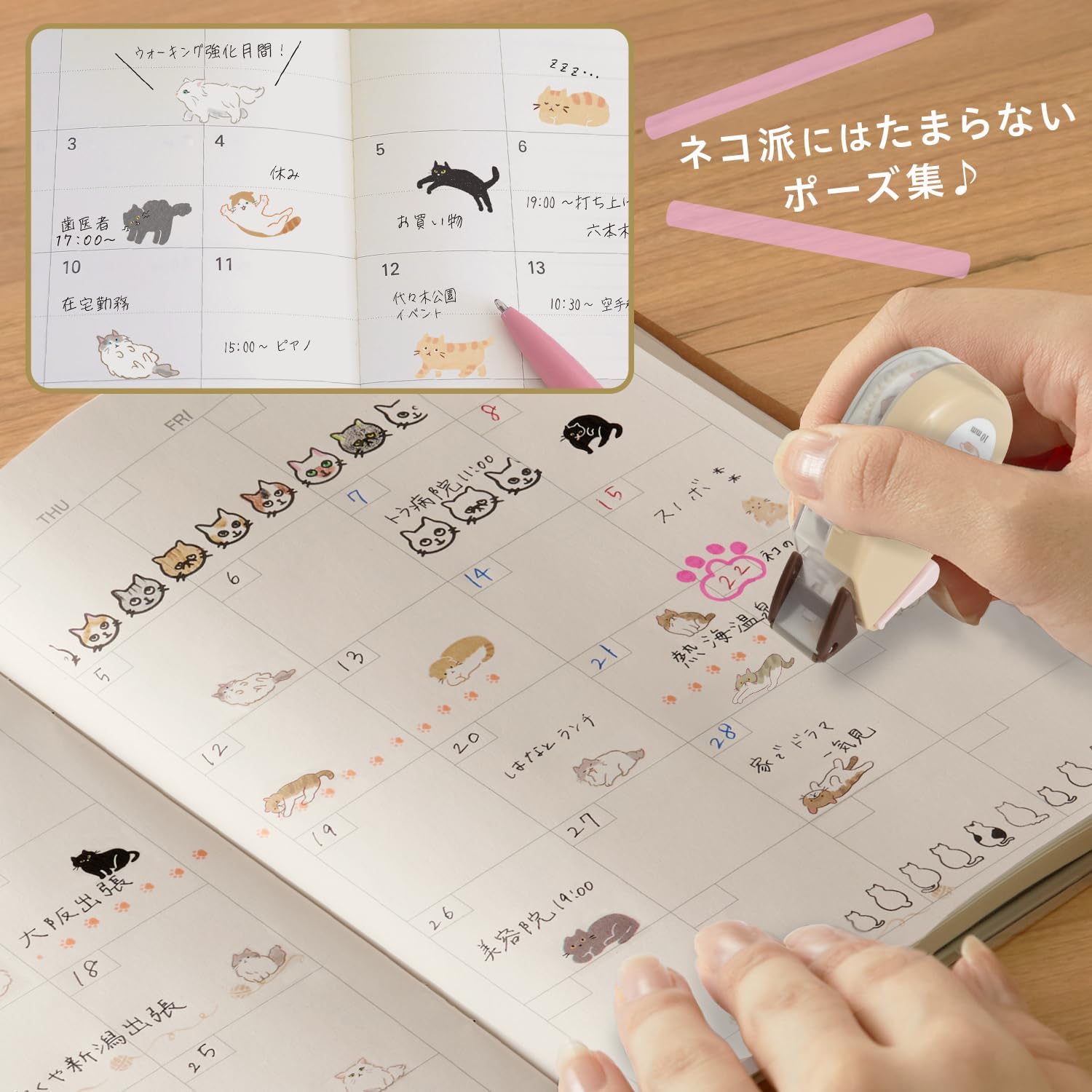 現貨｜PLUS Neco Rush 貓貓 日版 手帳裝飾膠帶 Decoration Tape (波斯貓 91-564)