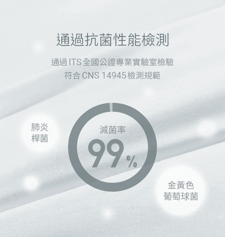 預購 miffy TW 蕾絲內褲 3色入