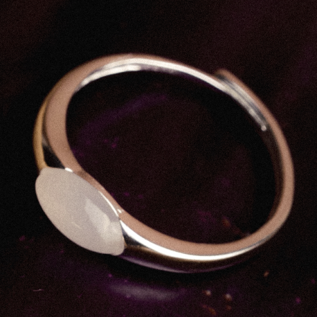 Harvest By Nature Ring H12 & H13