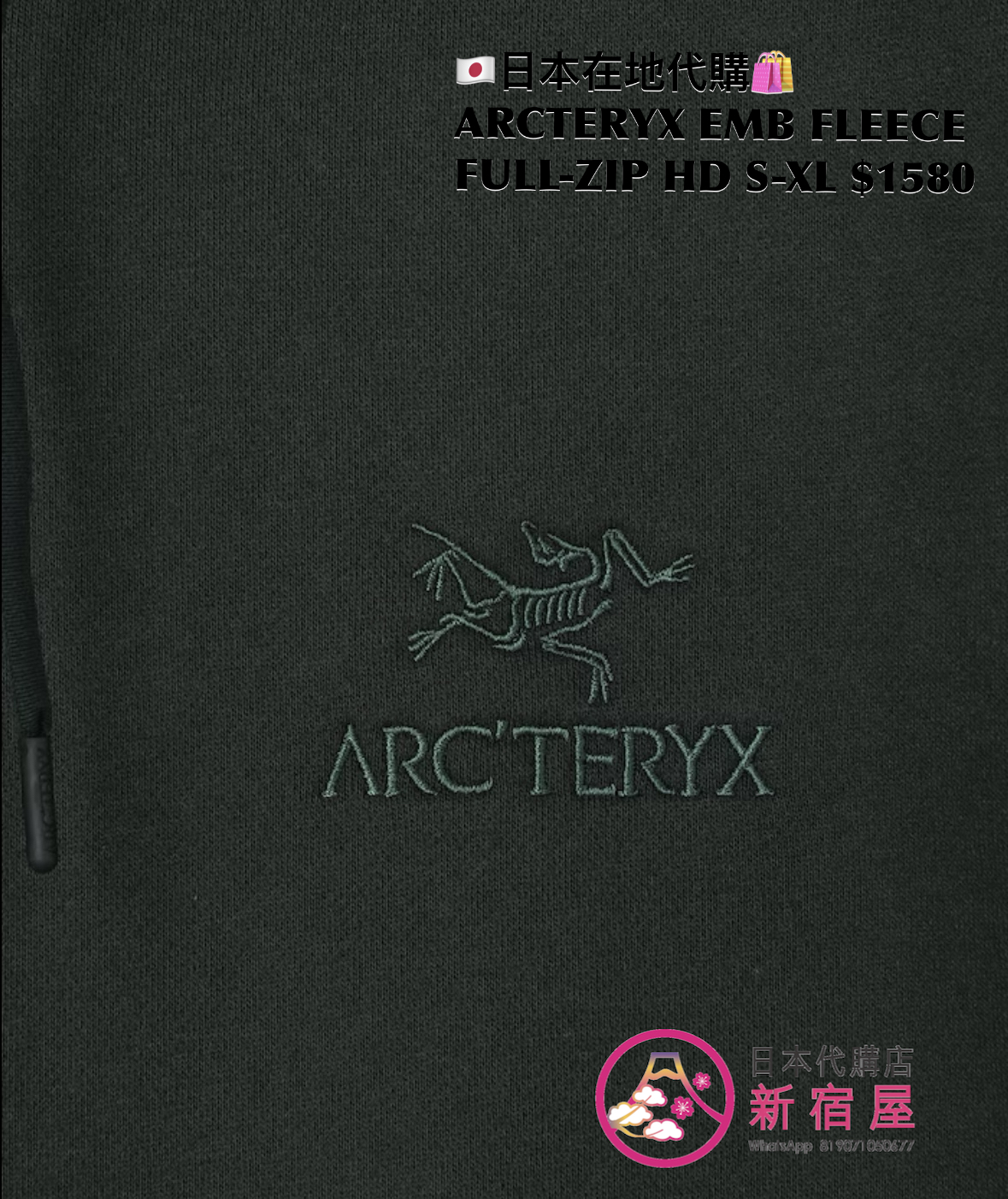 ARCTERYX EMBLEM FLEECE FULL-ZIP HOODIE