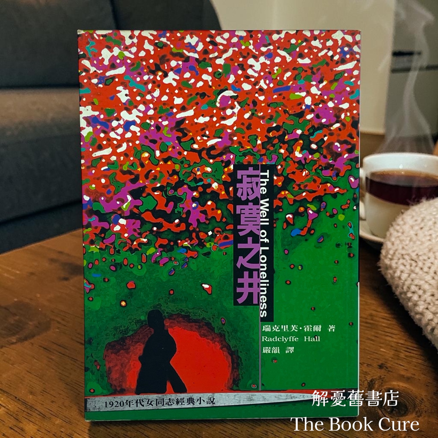寂寞之井 / 瑞克里芙．霍爾 著