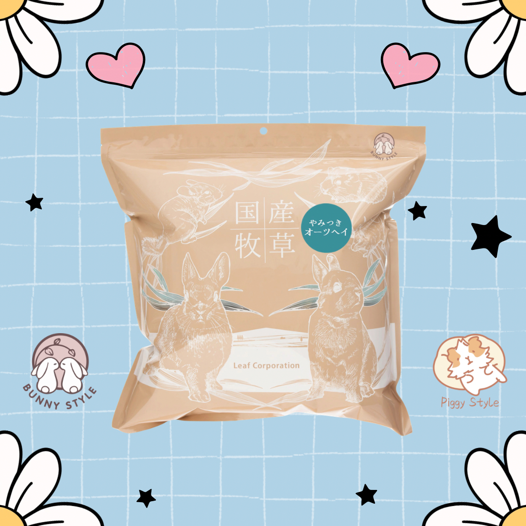 日本Leaf Corp 國產上癮燕麥草 100g