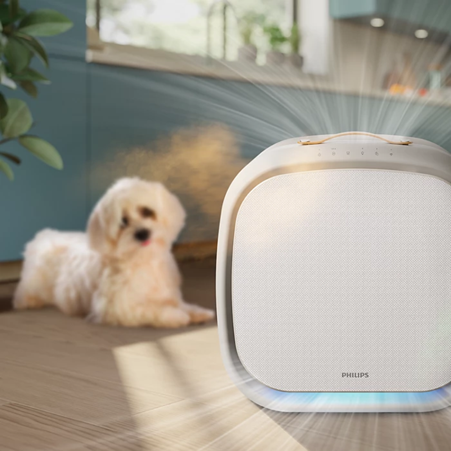 Philips PureProtect Pet 3000 Series Smart Pet Purifier AC3360/11
