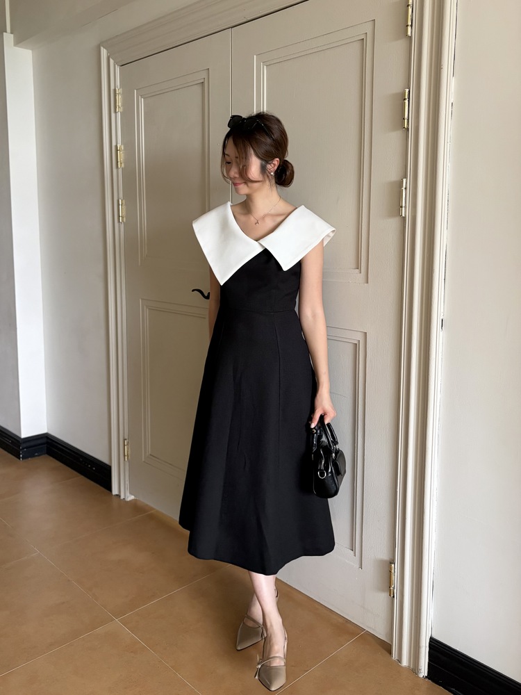 Celine Contrast Collar Dress