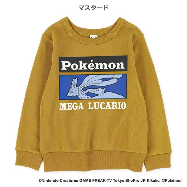 <🌟新品訂購🌟>比卡超薄毛底衞衣[PK65607]