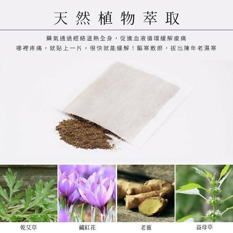台灣淨森堂-溫感艾灸貼 10片入