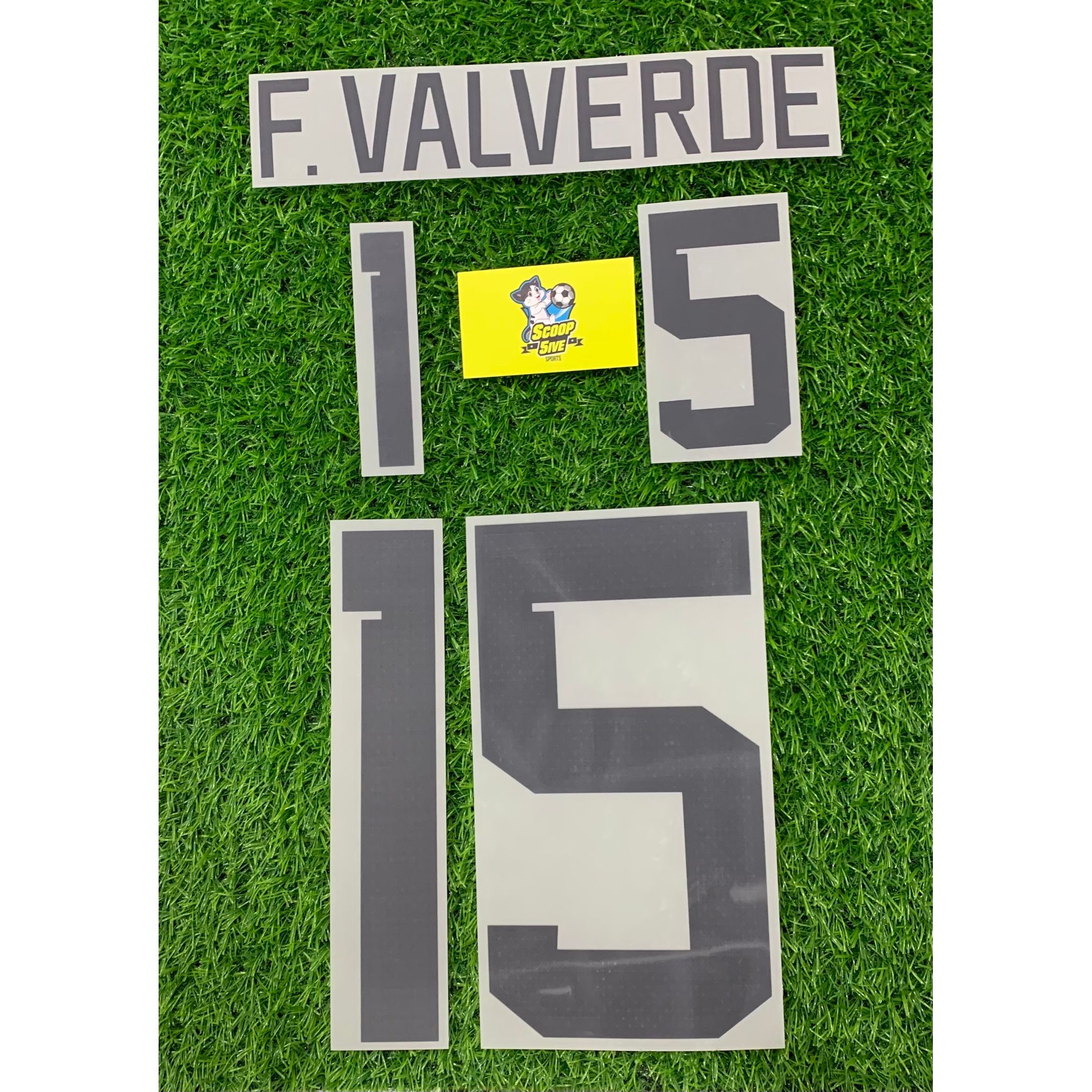 2022世界盃 烏拉圭 主場 作客 印字 15 F. Valverde