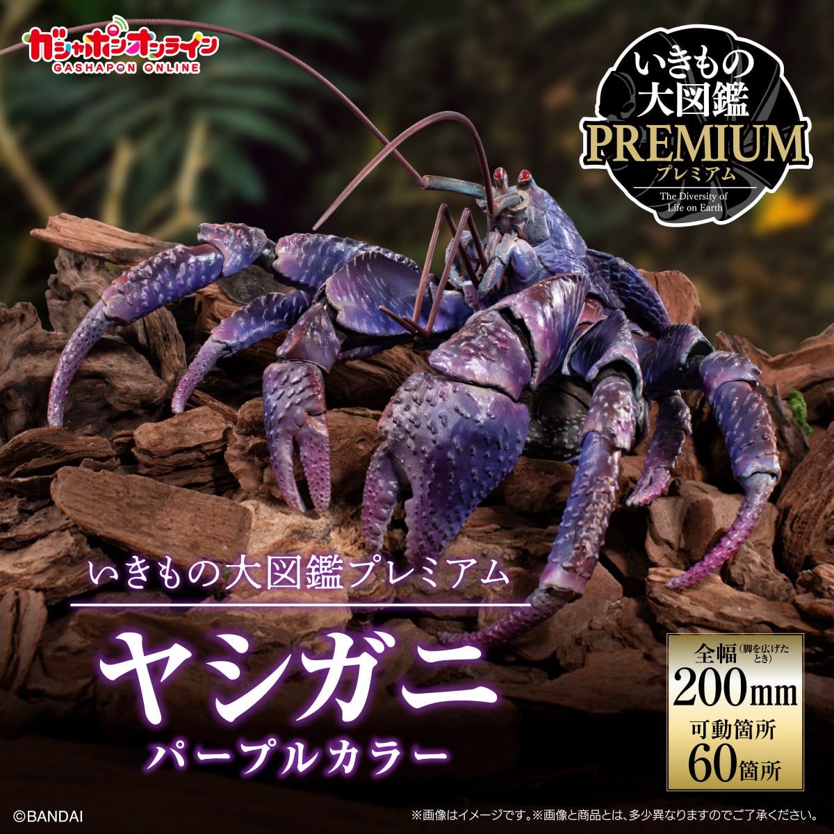 (預訂訂金 $200) (總價 $471) (Gashapon Online 限定) Bandai 生物大圖鑑 Premium 椰子蟹 (紫色) 扭蛋 (行版) Birgus Latro (Purple Color)