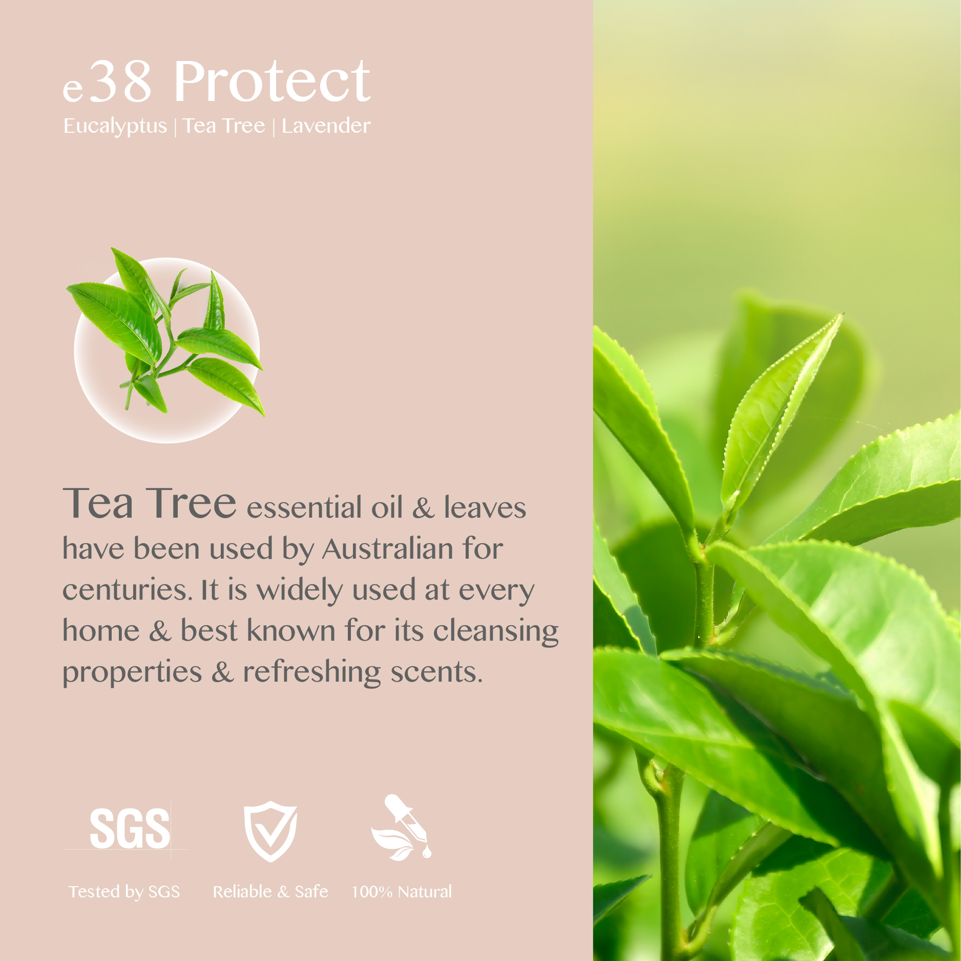 eBlend Protect — Clarity Shield