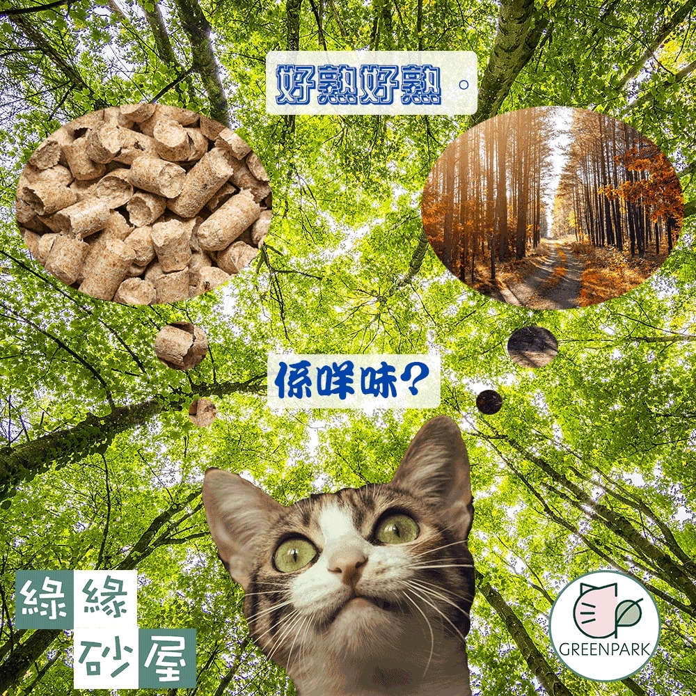 綠緣砂屋 | 環保木貓砂 (3KG) [香港製造] 