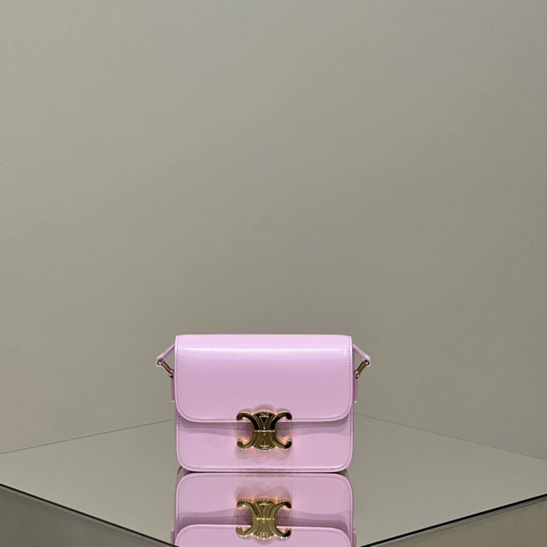 🔥大货实拍图 𝗖𝗘𝗟𝗜𝗡𝗘 ♥ 𝗧𝗘𝗘𝗡 𝗧𝗥𝗜𝗢𝗠𝗣𝗛𝗘 型号：188423 中号尺寸：22.5*16*7cm 小号尺寸：18.5*14*6cm