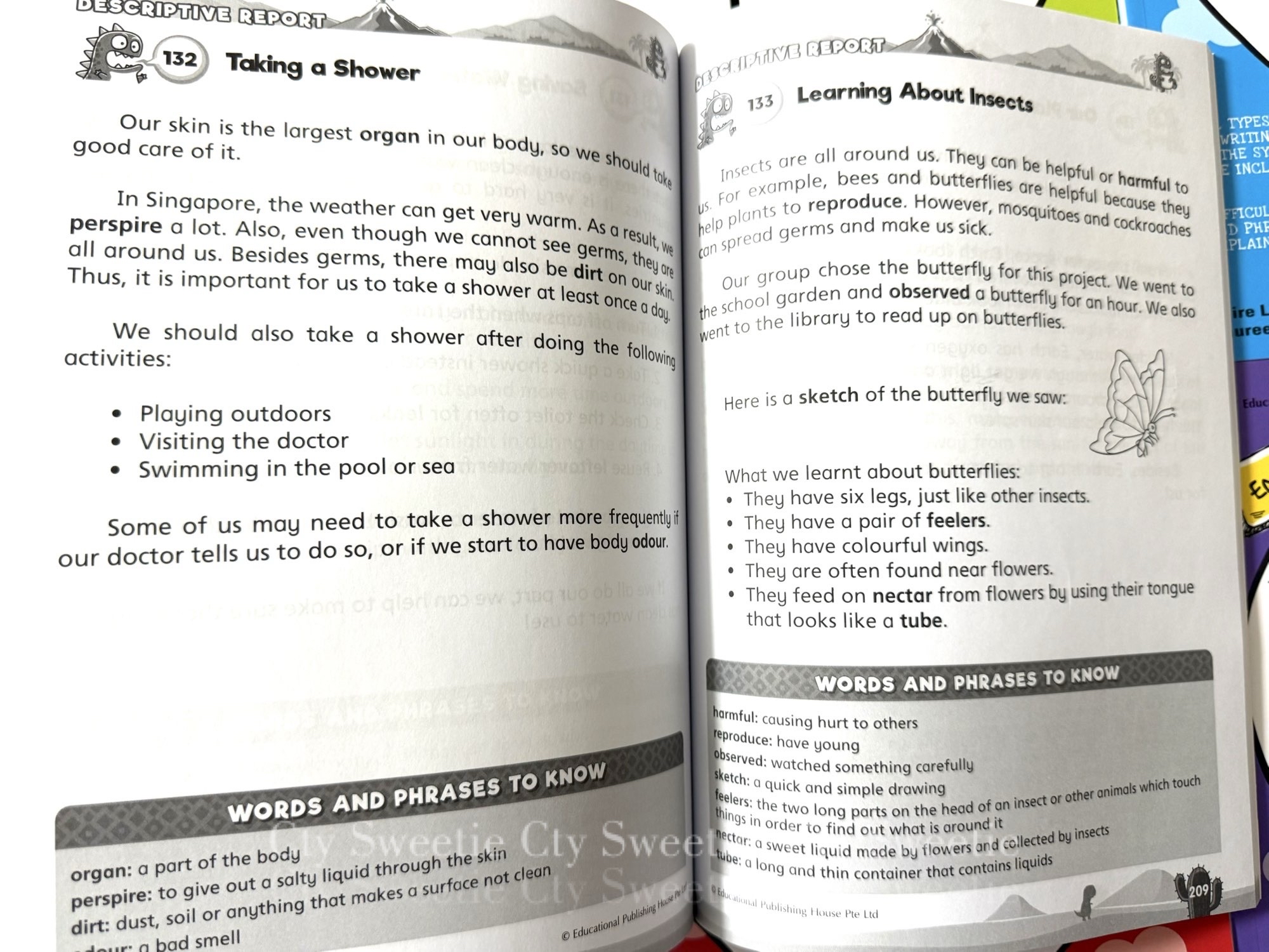 English Mega Compositions (New Edition)