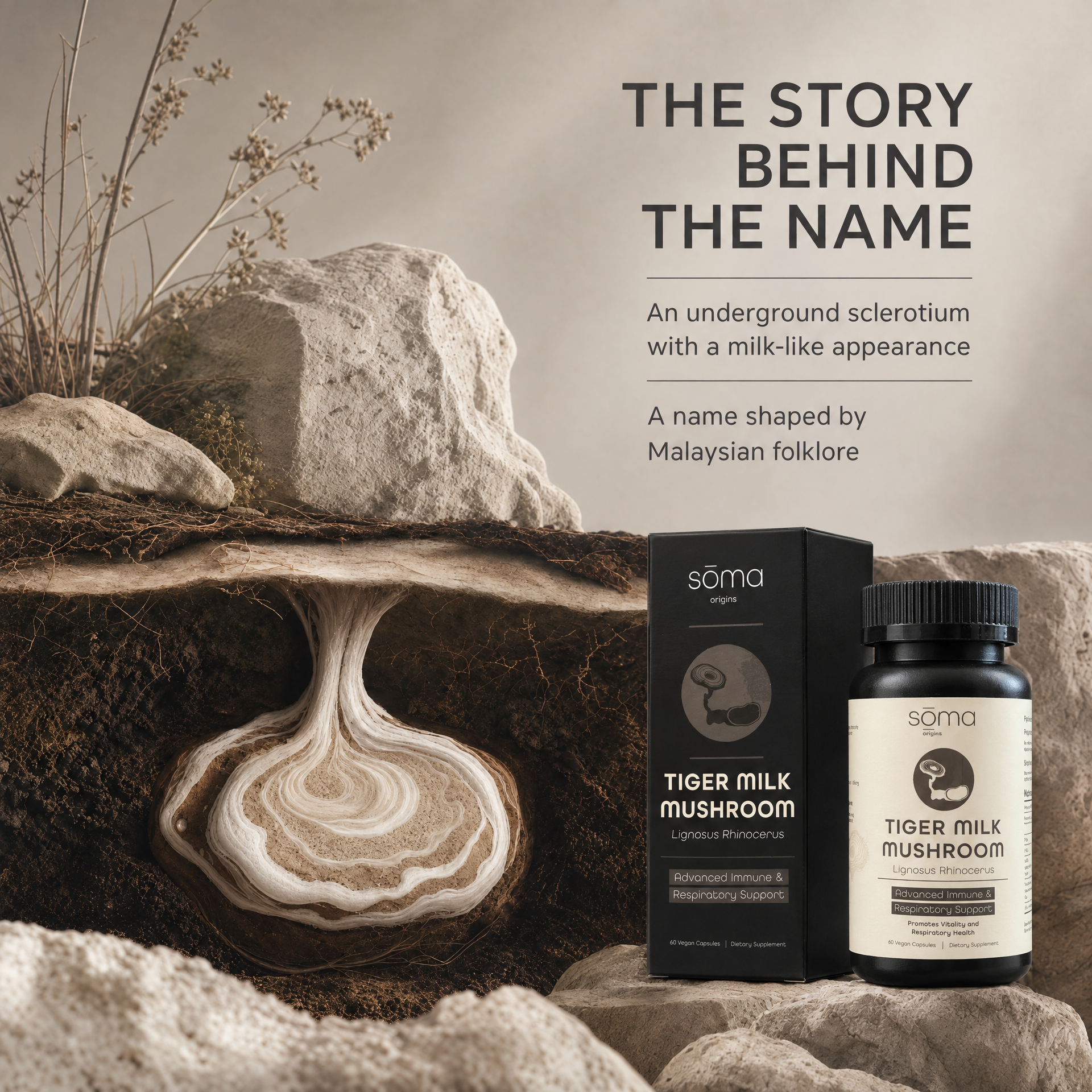 Soma Origins - Tiger Milk Mushroom Extract 虎乳芝 60粒膠囊 (Lignosus Rhinocerus) 