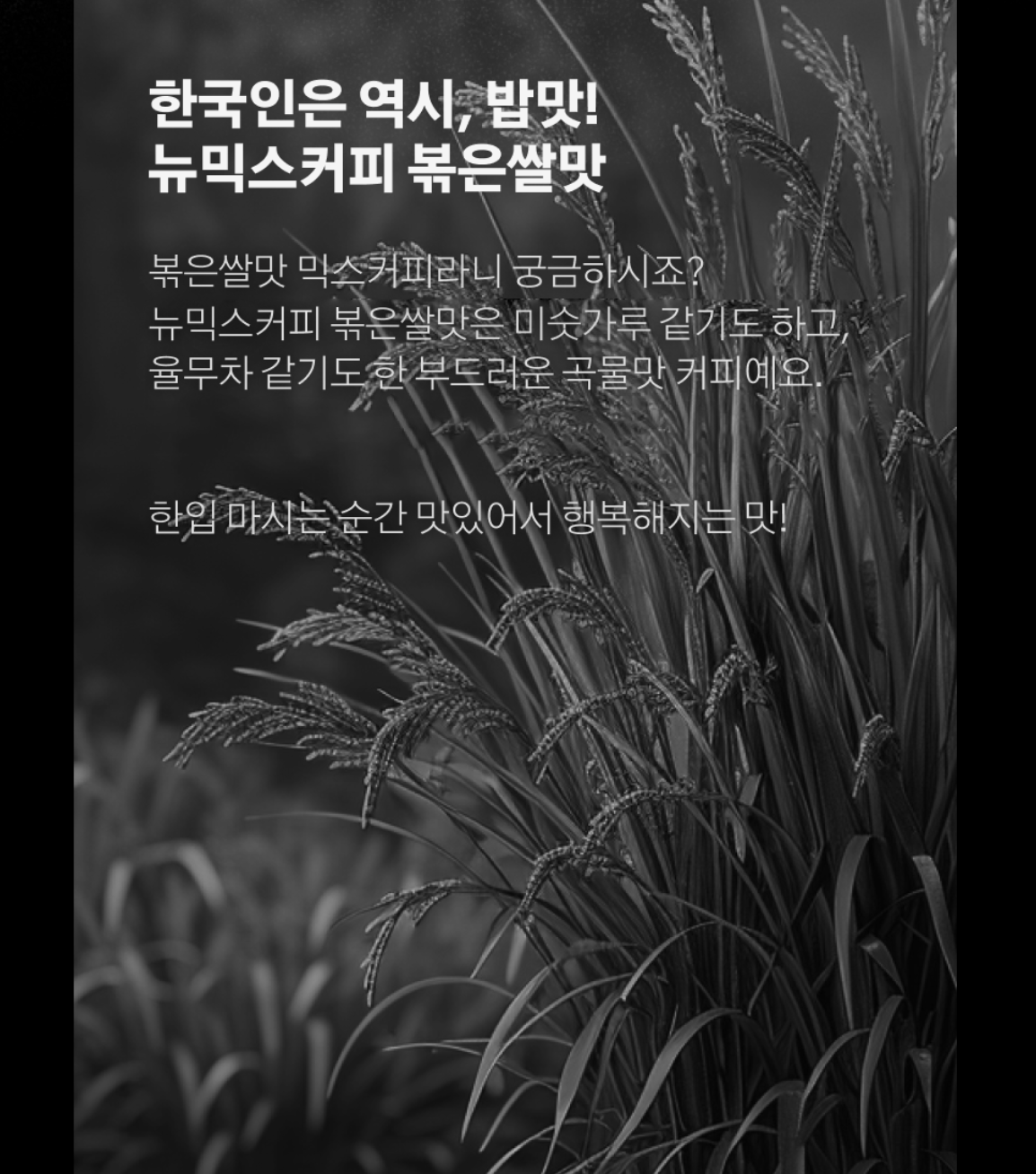 韓國 NEWMIX 炒米味 咖啡 10條 / 盒｜Roasted Rice Flavor Coffee