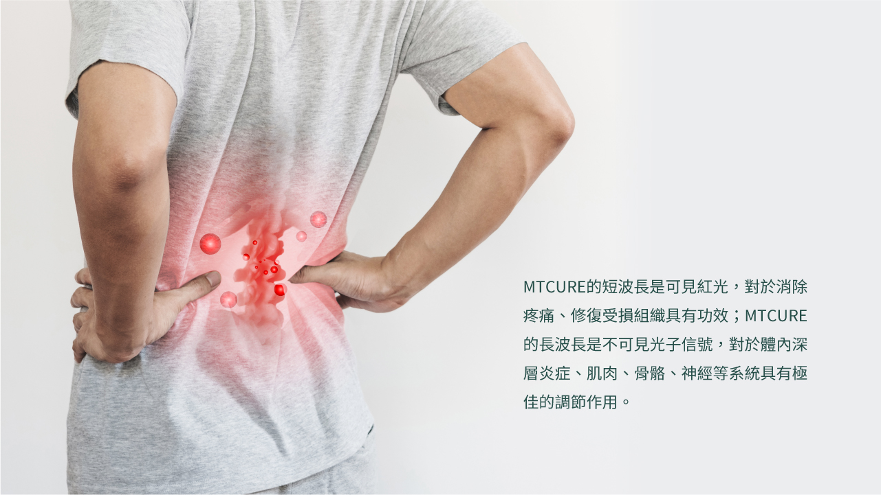 Maxcare - 光療脈衝復康帶 [預計 : 7月中至尾發貨]