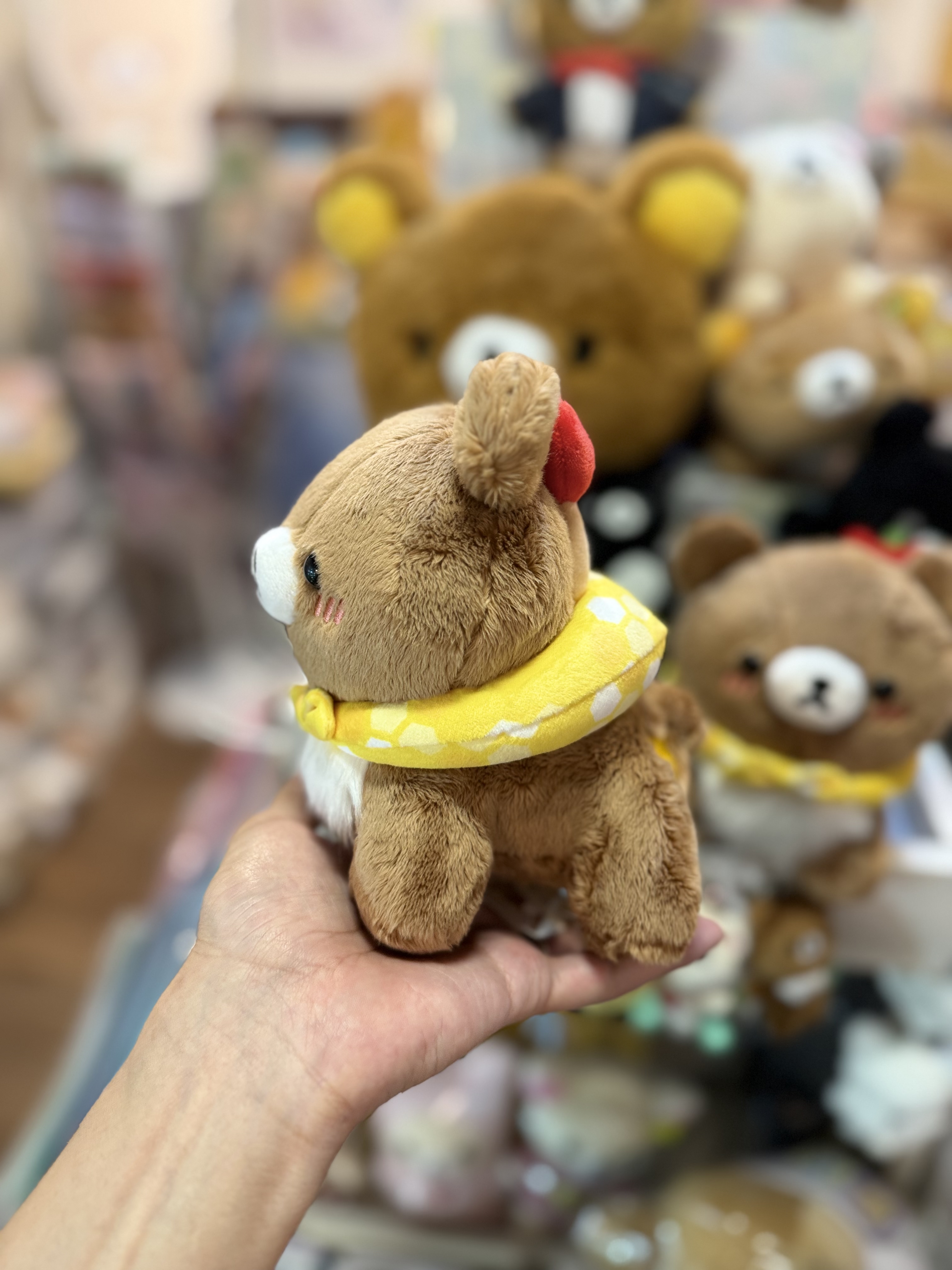 《現貨》全新日本小熊10週年紀念巡迴pop up店限定小熊探險隊系列爬爬公仔