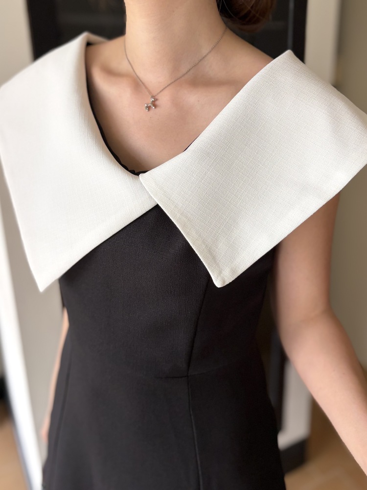 Celine Contrast Collar Dress