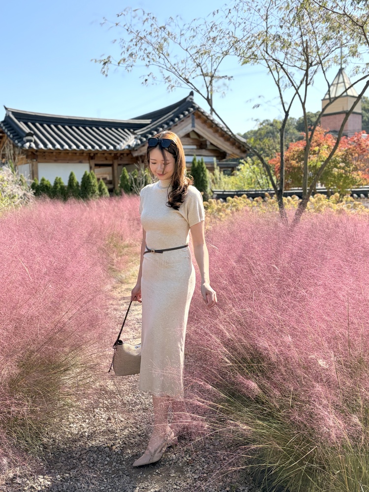 Timeless Belted Knit Dress (Oatmeal)