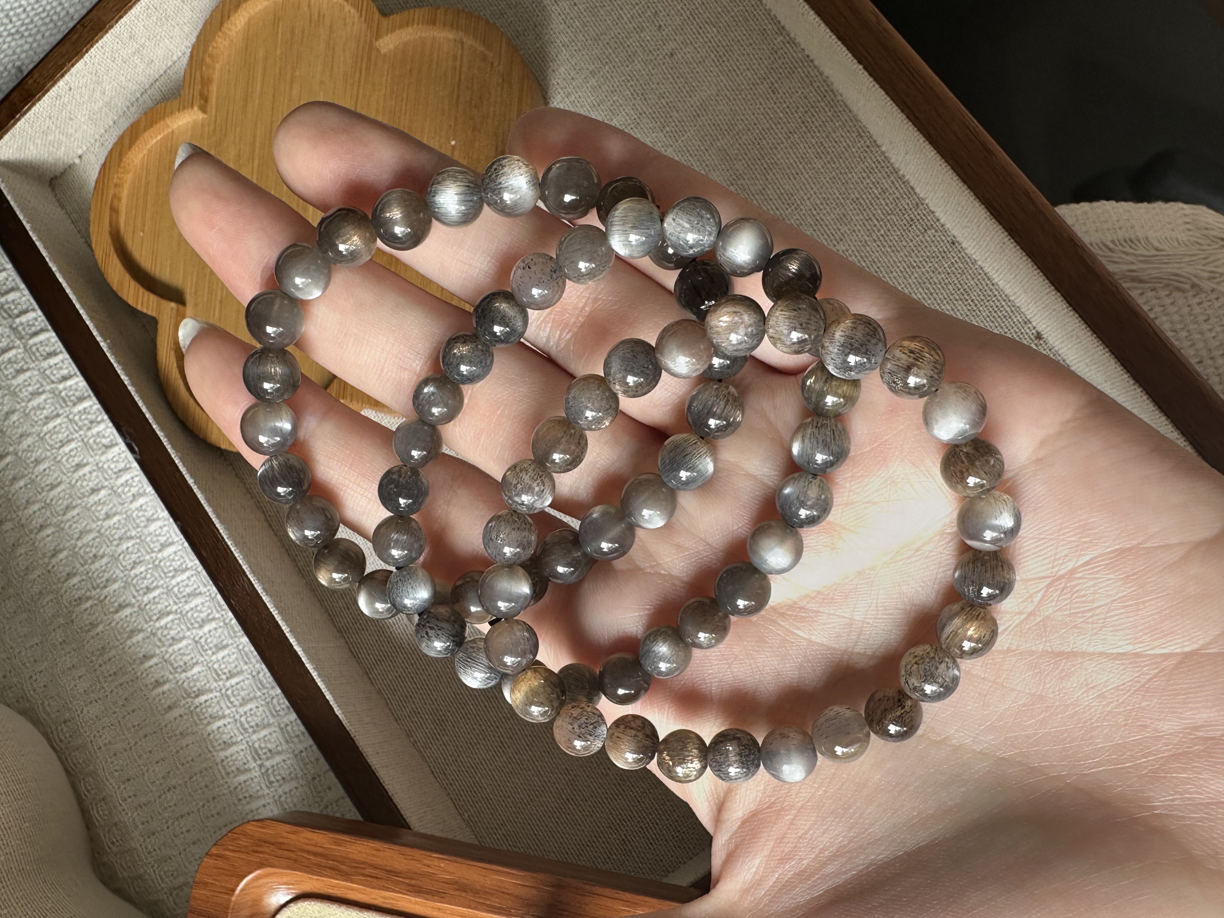 星辉金骨干 ｜Heliolite Black Gold Sunstone 