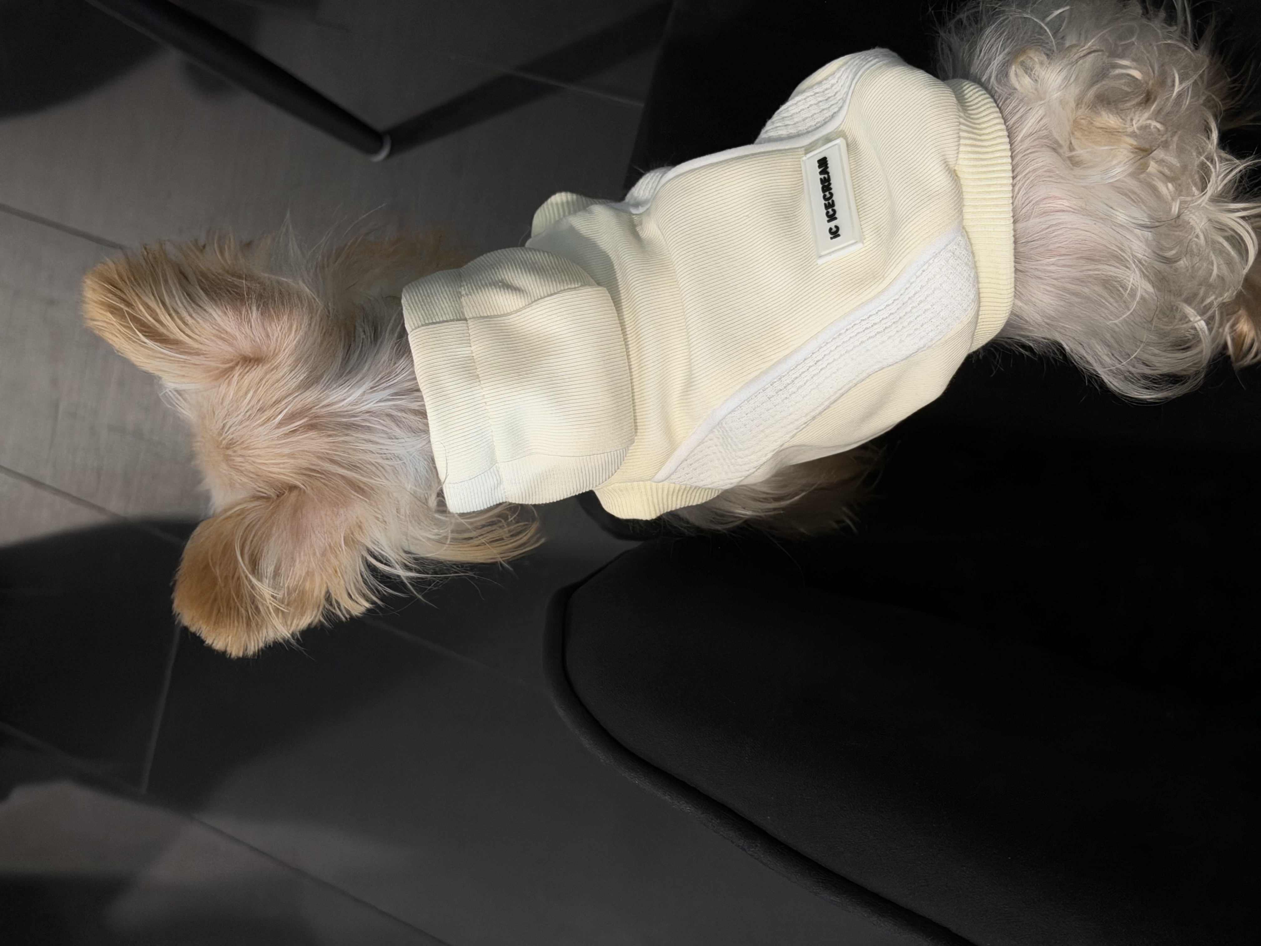 The Vanilla Crema Hoodie