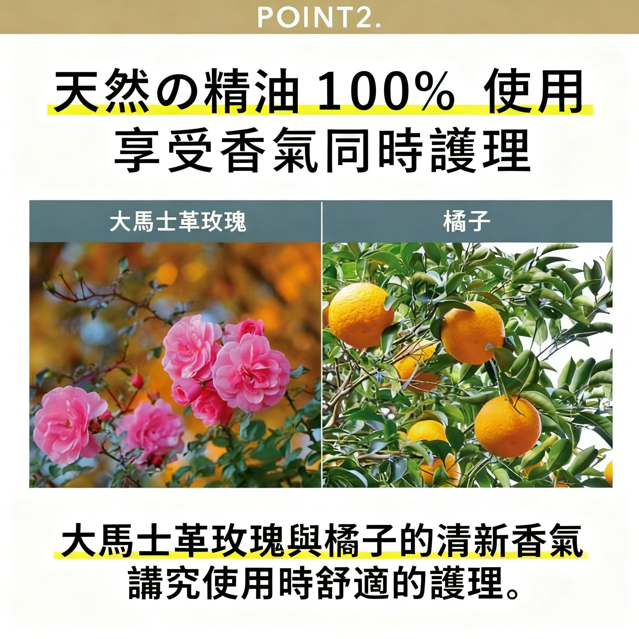 🌙 withmoon 私密處二層式美容油精華 (4MEEE 聯名)【日本製】 