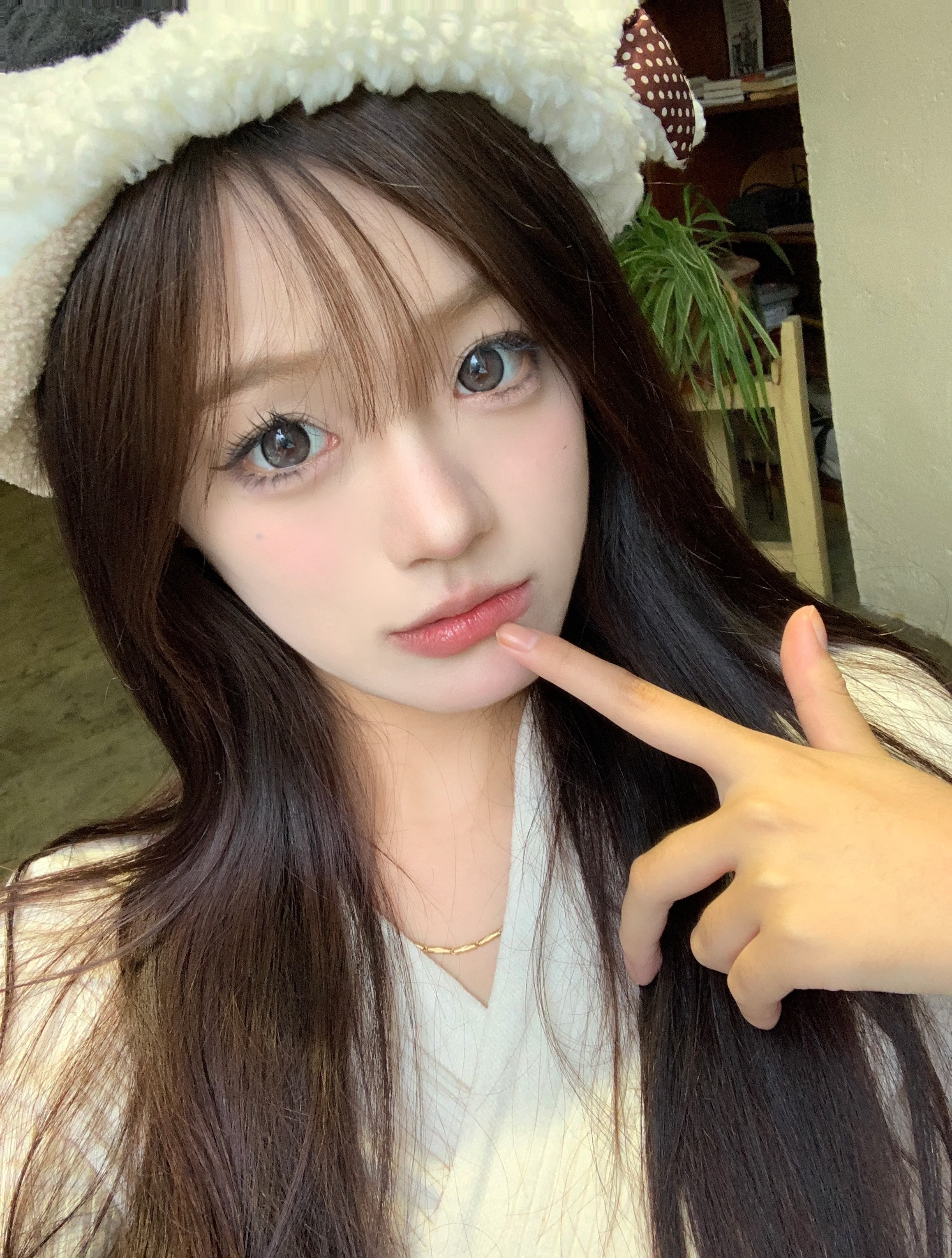 Kaylens 半年拋 肉鬆團子/糯米團子