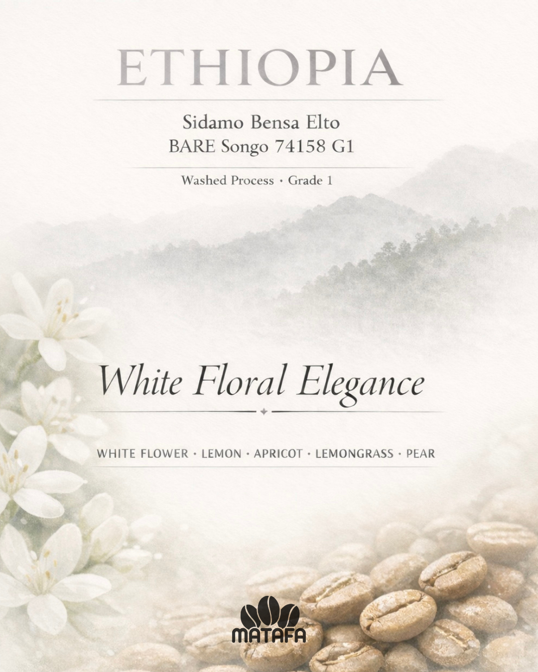 【衣索比亞Ethiopia】Sidamo Bensa Elto BARE Songo 74158 G1 