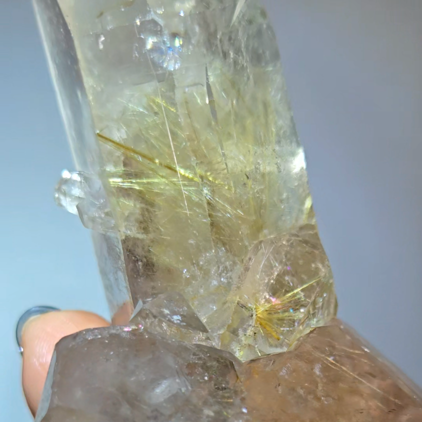 Golden starburst rutiles on black hematite in quartz - RT1429