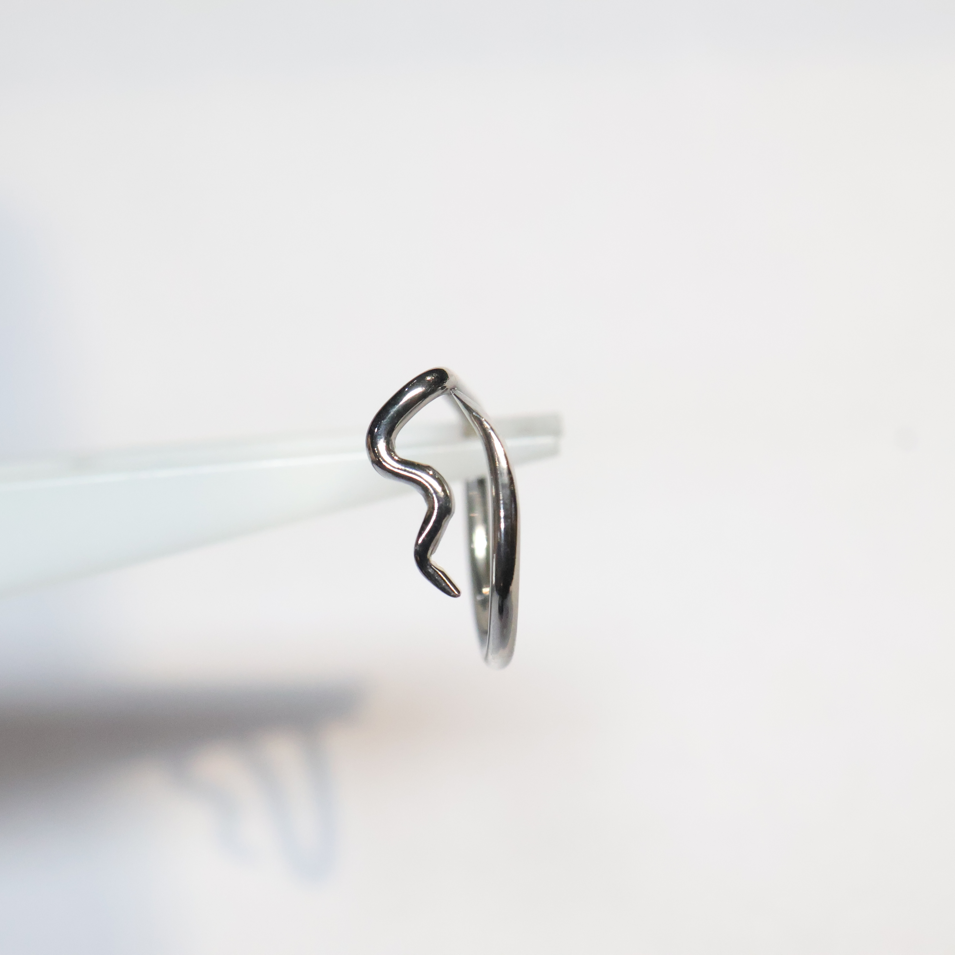 Ophiucus	(Nostril, Tragus, & Forward Helix)