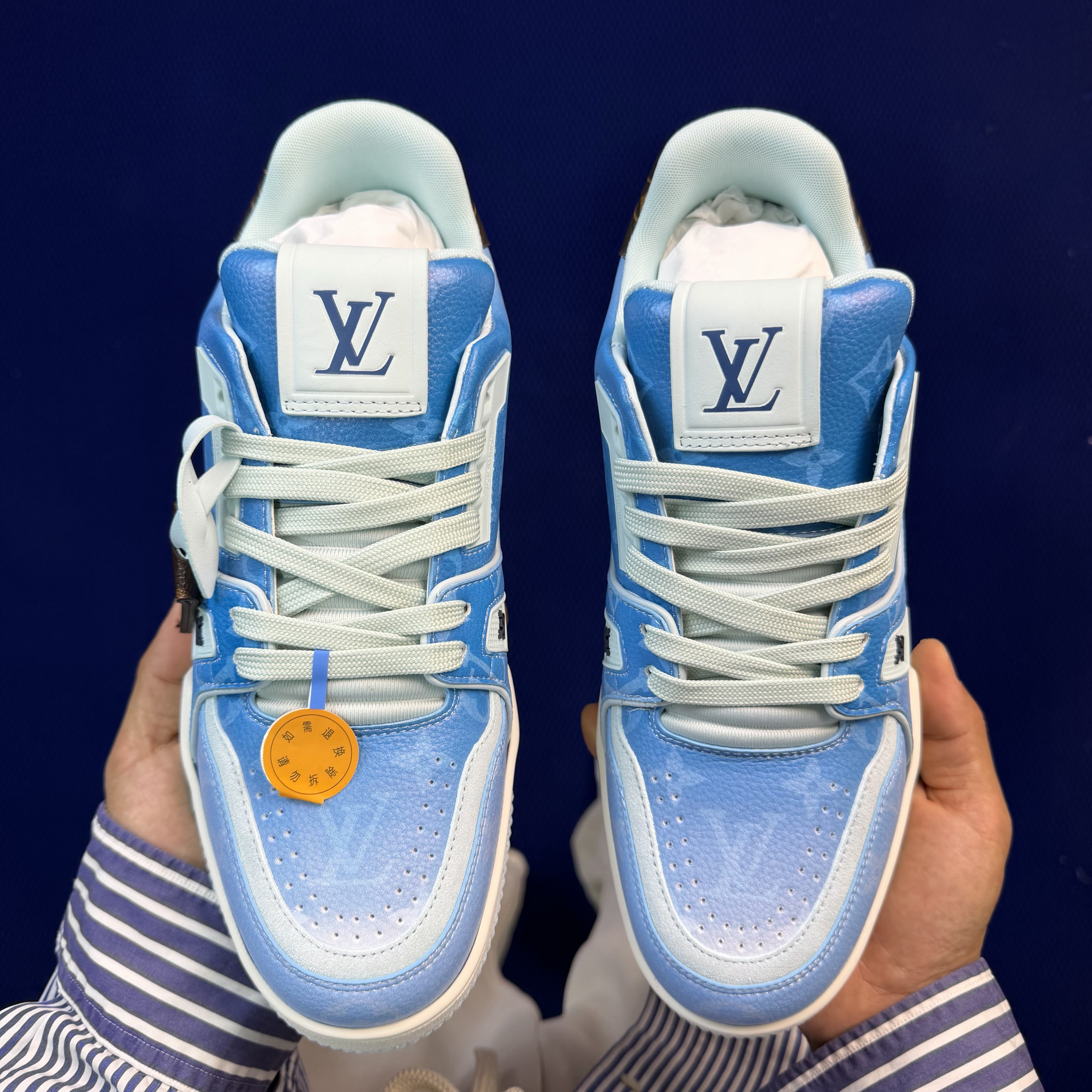 Louis Vuitton LV Trainer