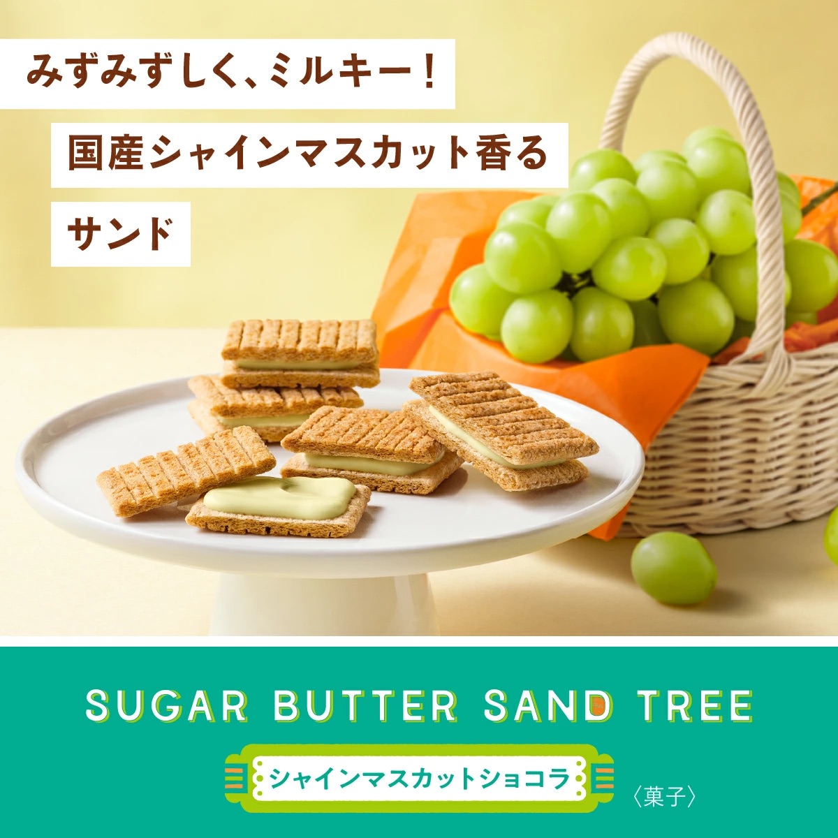 #季節限定 Sugar Butter Tree 香印提子味 + 原味 奶油夾心餅乾 綜合套裝 12 / 16 件裝