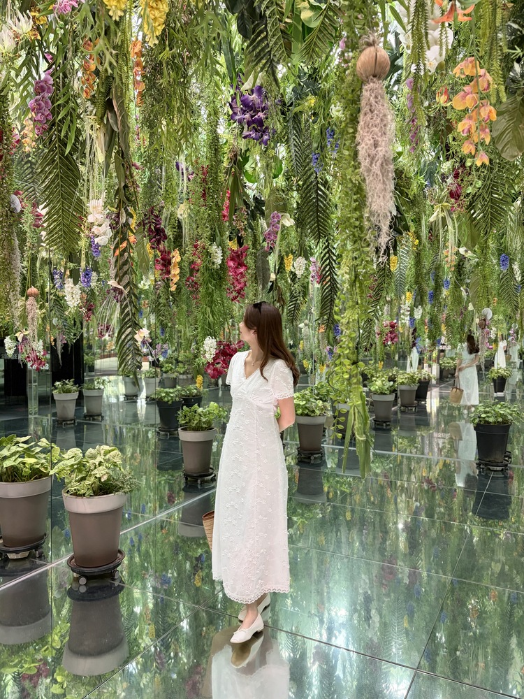 Aurelie Embroidered Dress (White)