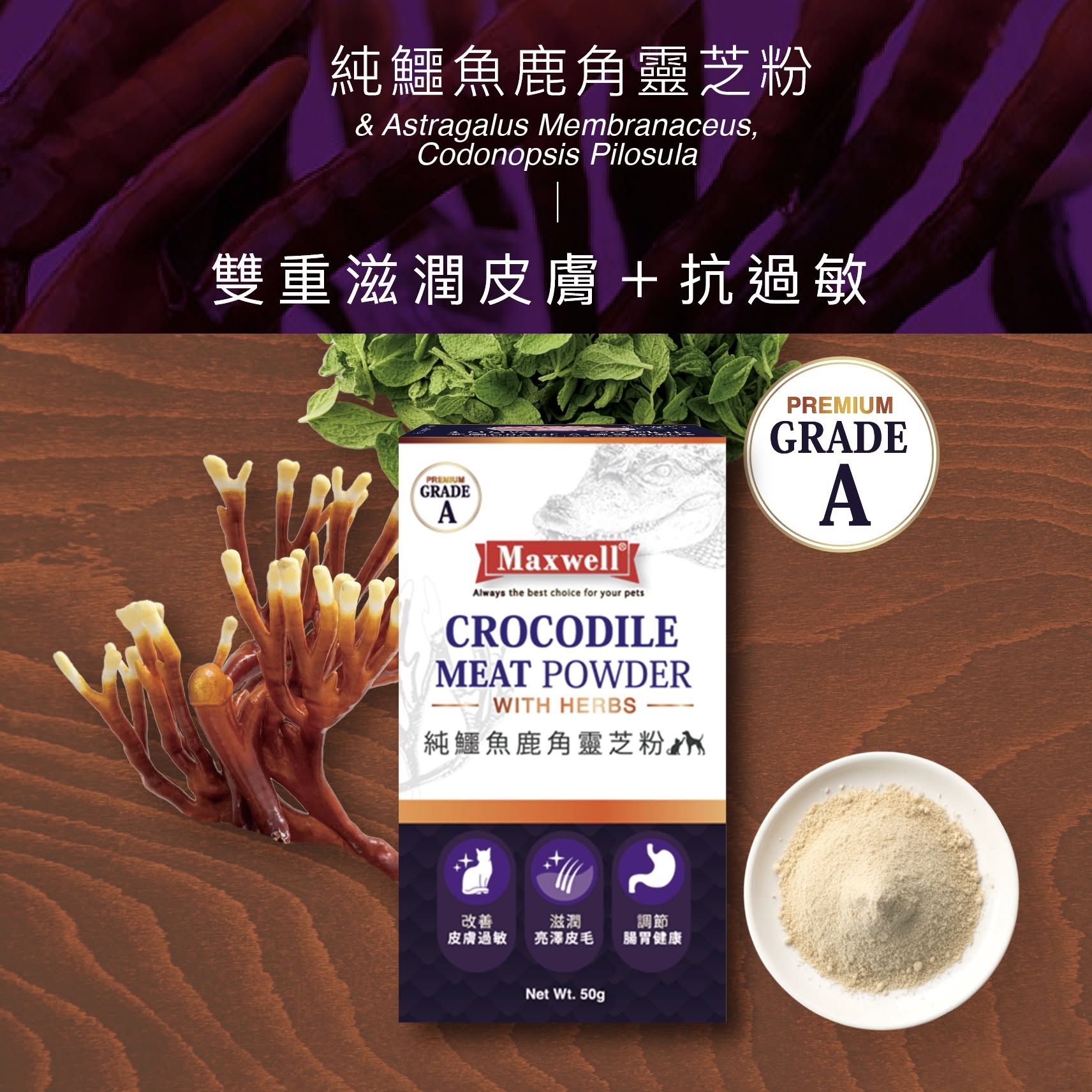 Maxwell｜Grade A 純鱷魚鹿角靈芝粉 50G - 濕疹救星抗過敏