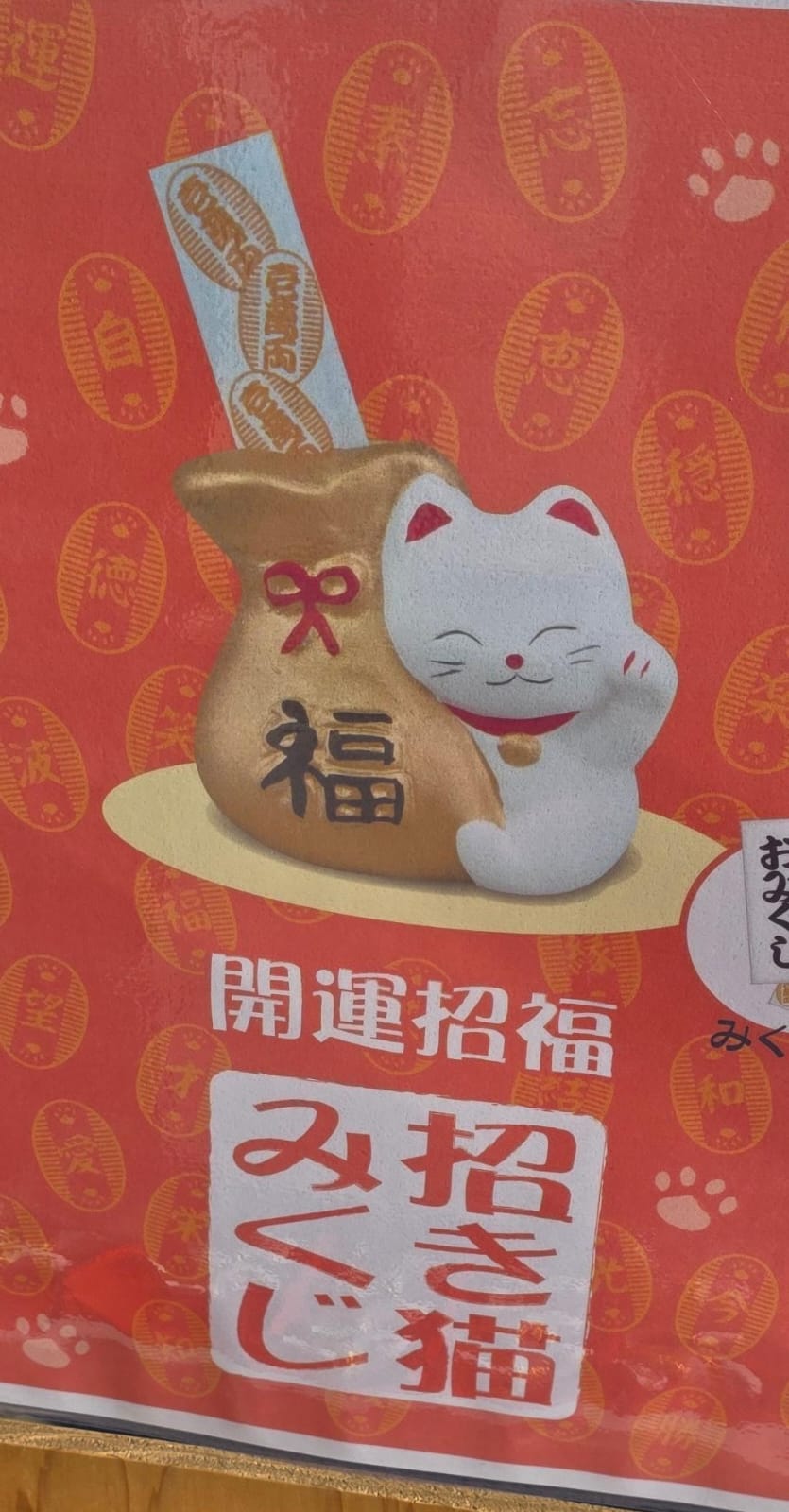 武雄神社開運招福籤