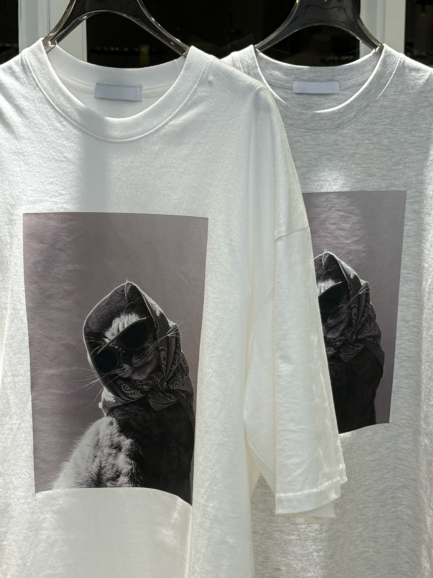 𝐔𝐧𝐢𝐬𝐞𝐱 𝐜𝐮𝐭𝐞 𝐜𝐚𝐭 𝐨𝐯𝐞𝐫𝐬𝐢𝐳𝐞𝐝 𝐭𝐨𝐩