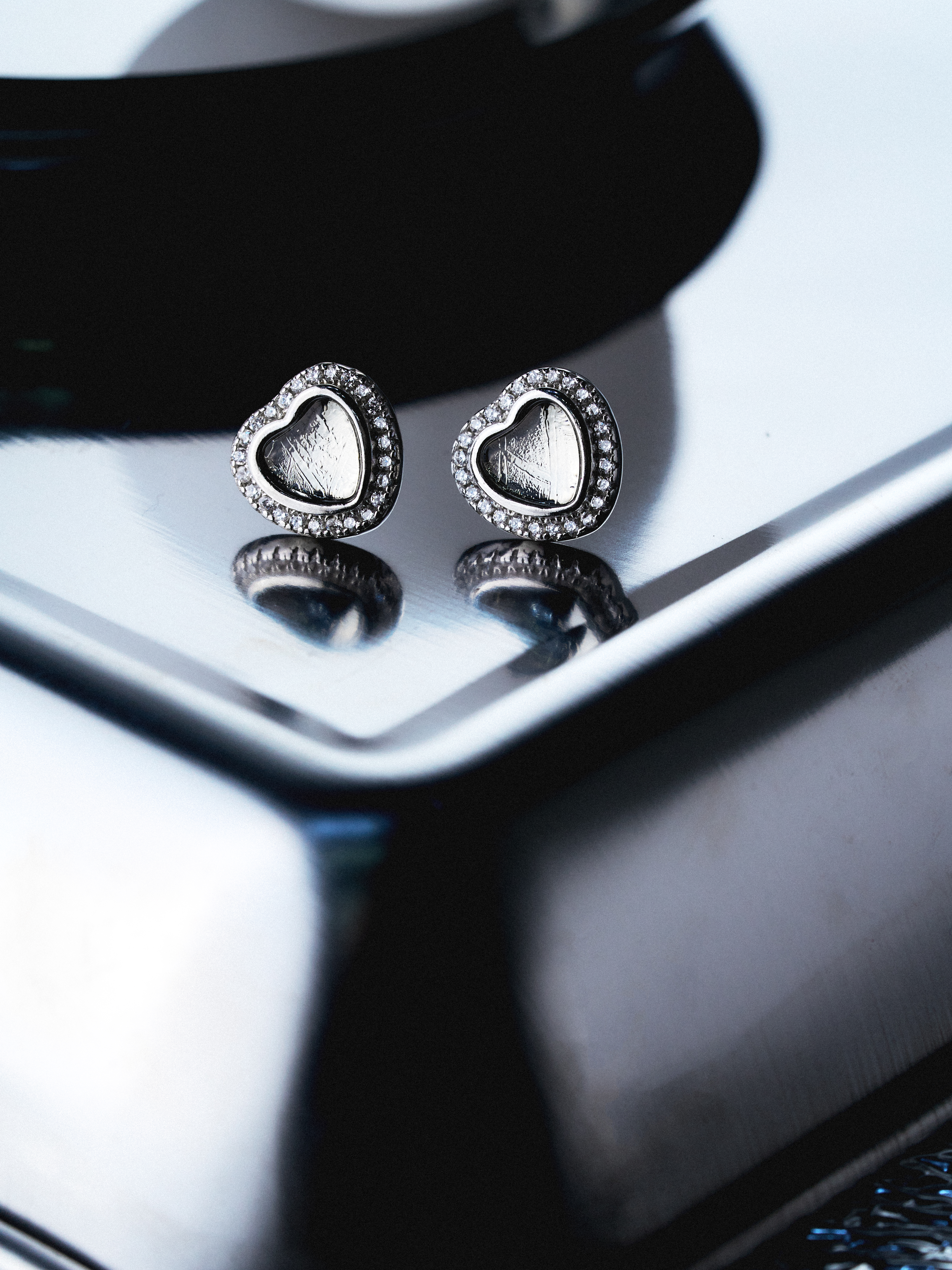 Aegis Earring