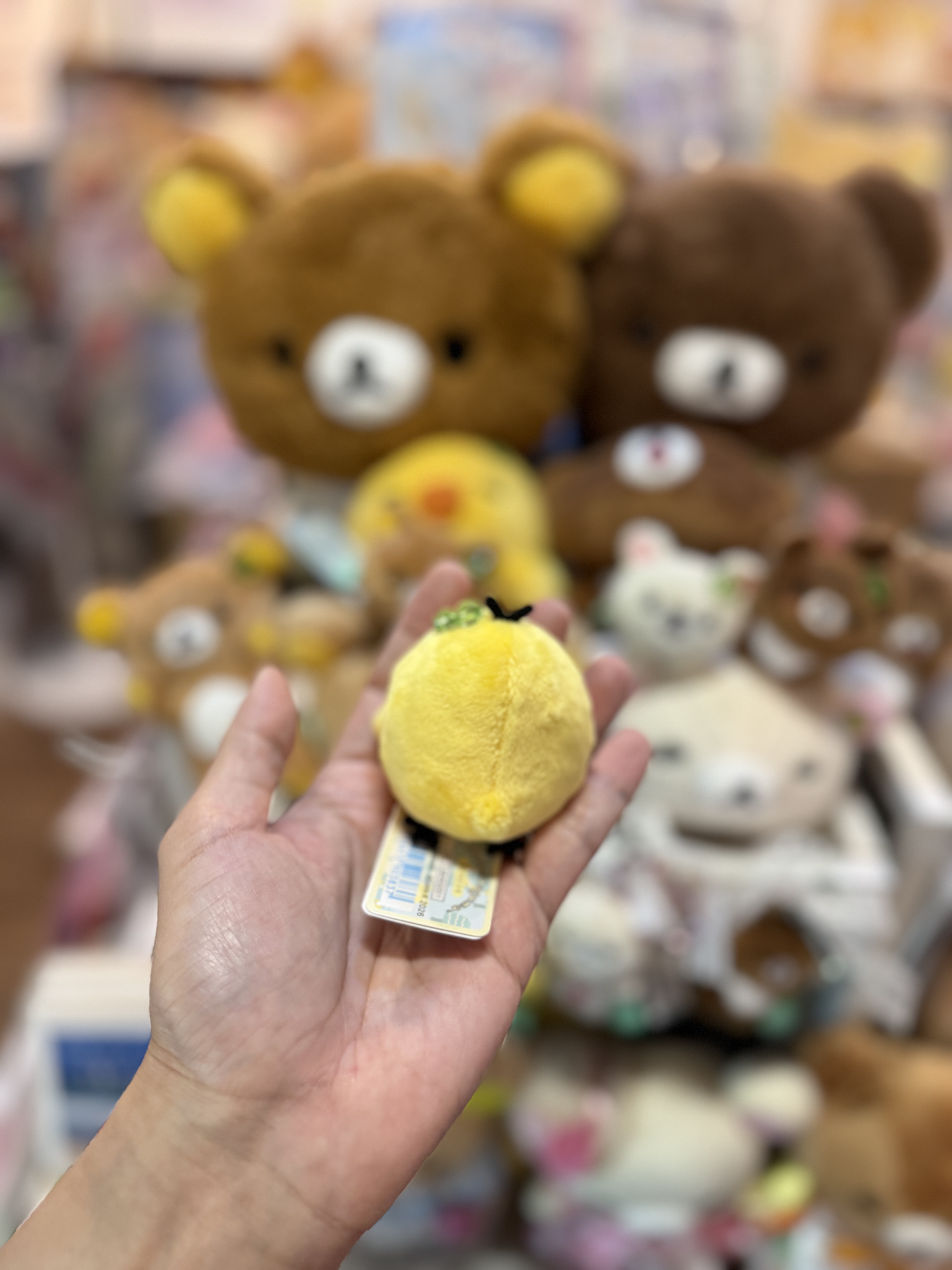 《現貨》全新小熊10週年紀念四葉草系列趴地手玉公仔