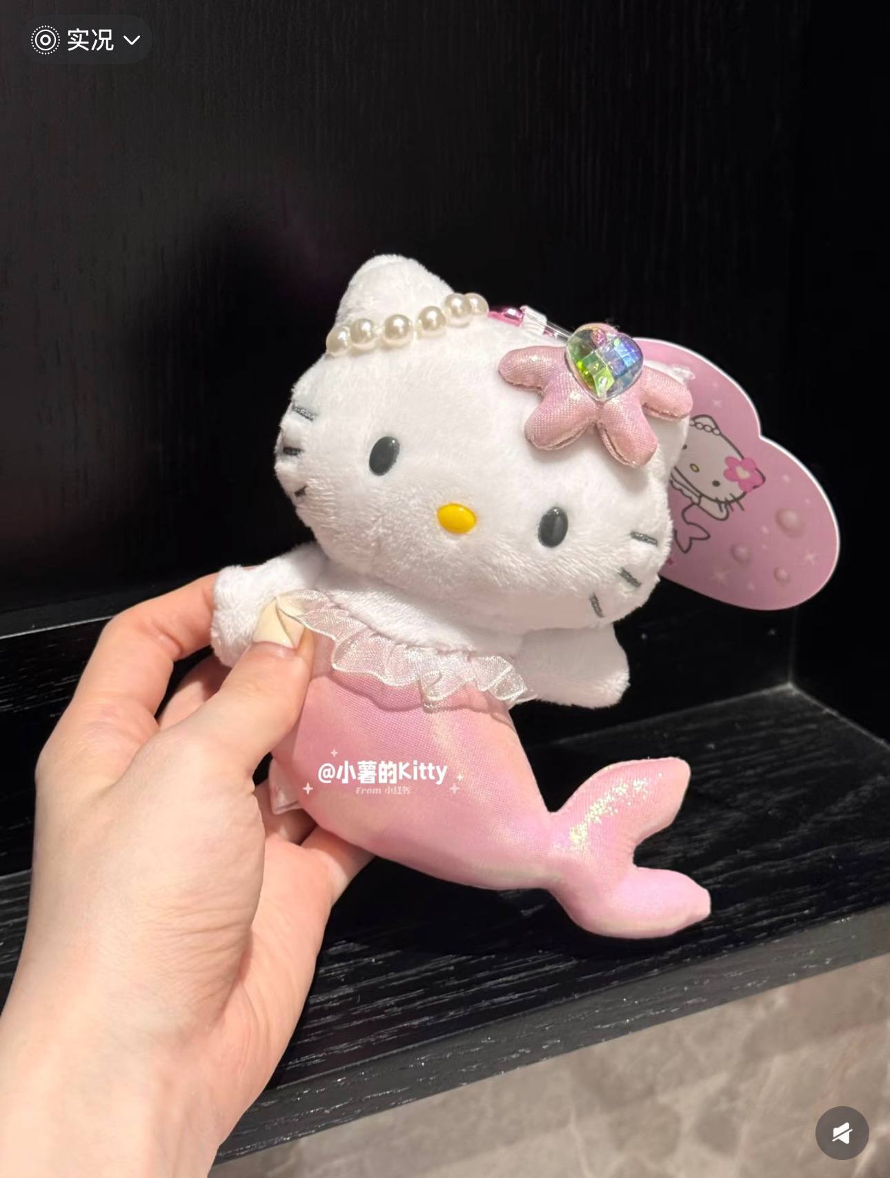 🇯🇵Kitty 美人鱼