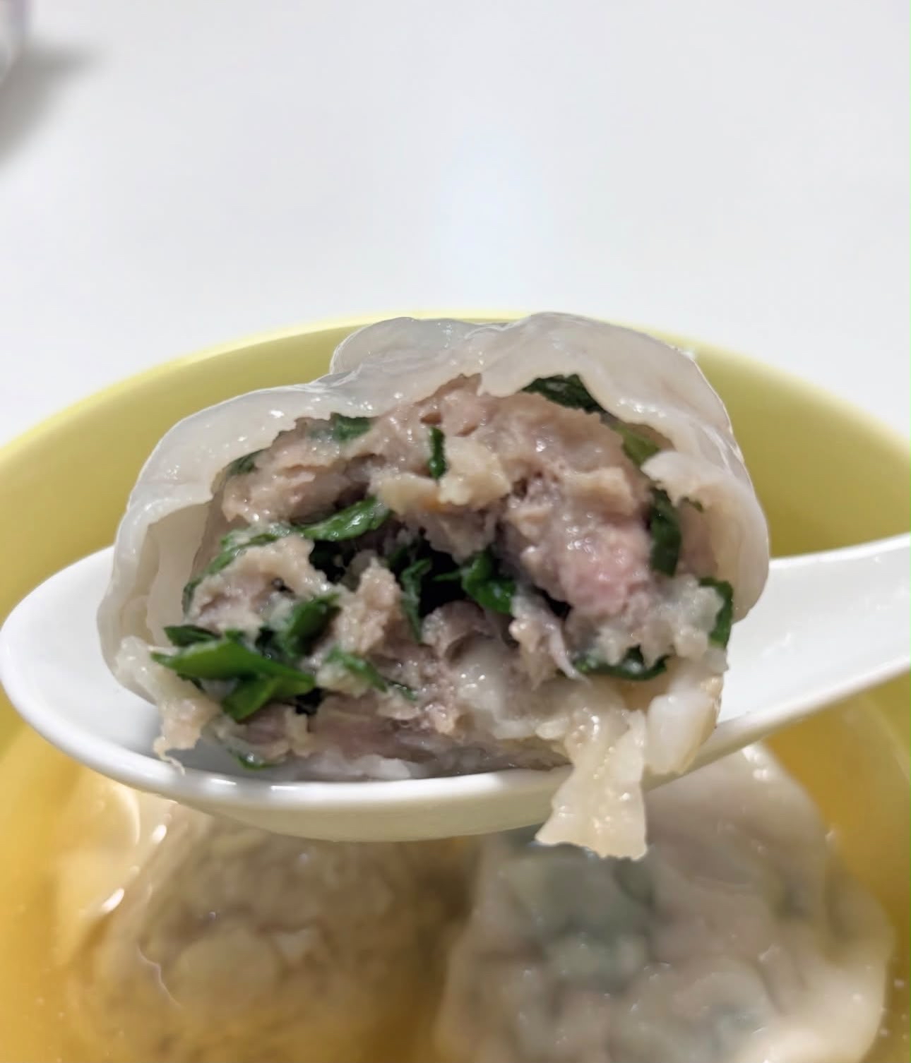 阿姨餃子 -手工韭菜豬肉餃（8粒）