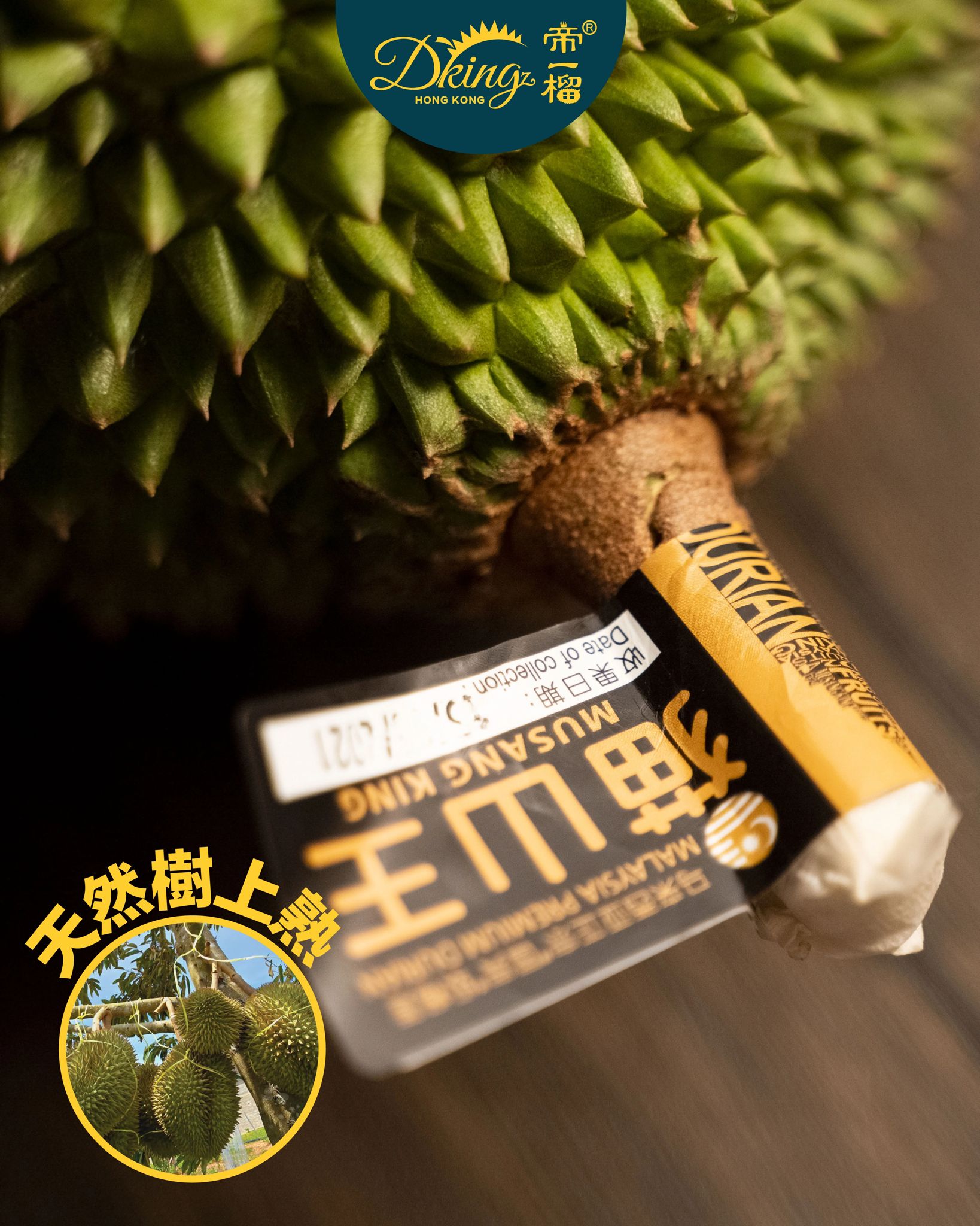帝一榴 FARM TO TABLE 新鮮貓山王榴槤果肉300G