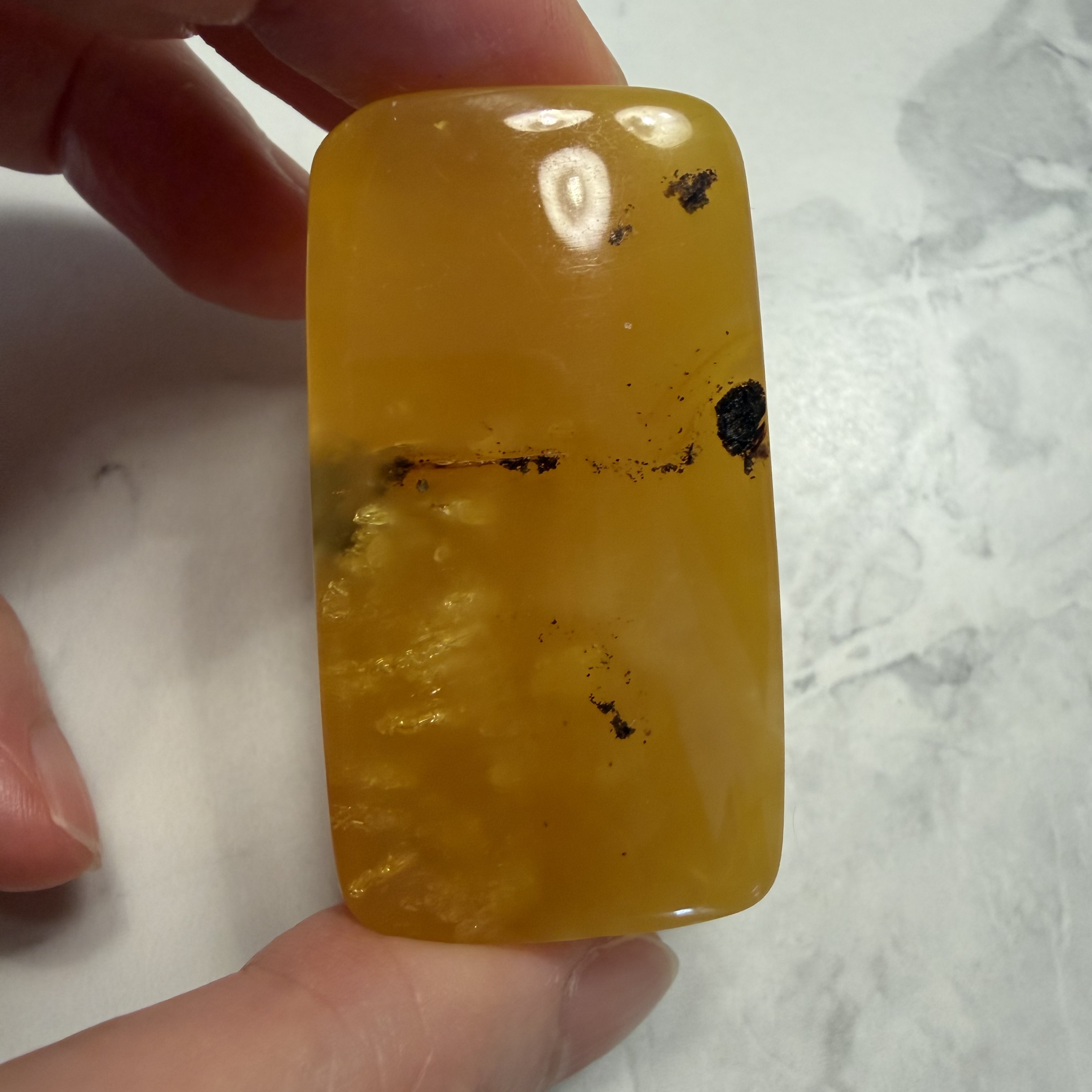 ［閉店一口價］波羅的海神獸無事牌