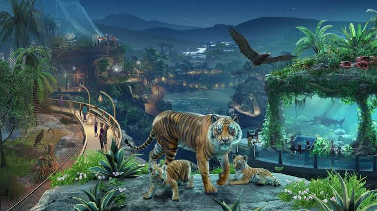 【預售 20/ 10】PS5 動物園之星 2 Planet Zoo 2  中/英/日文  ( 英文封面 ) XLMS4865