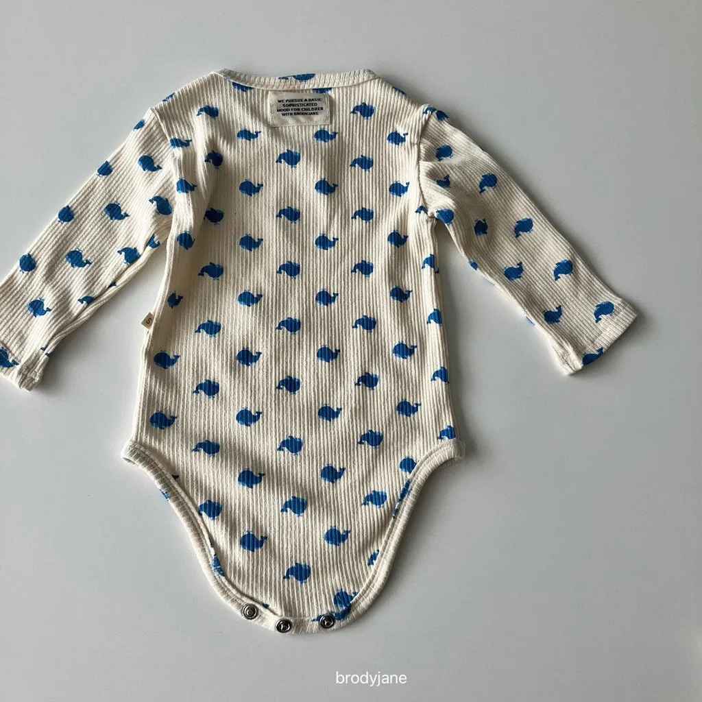 🇰🇷Brodyjane suit